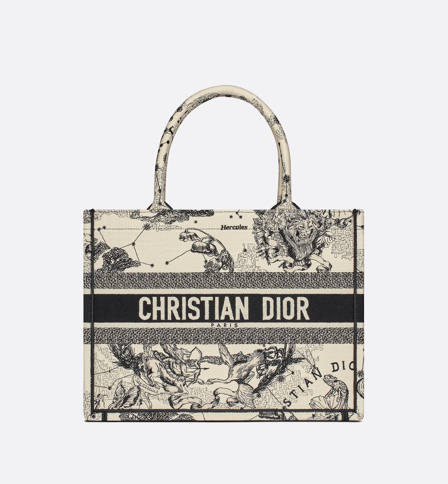 Lady dior astrological bag sale