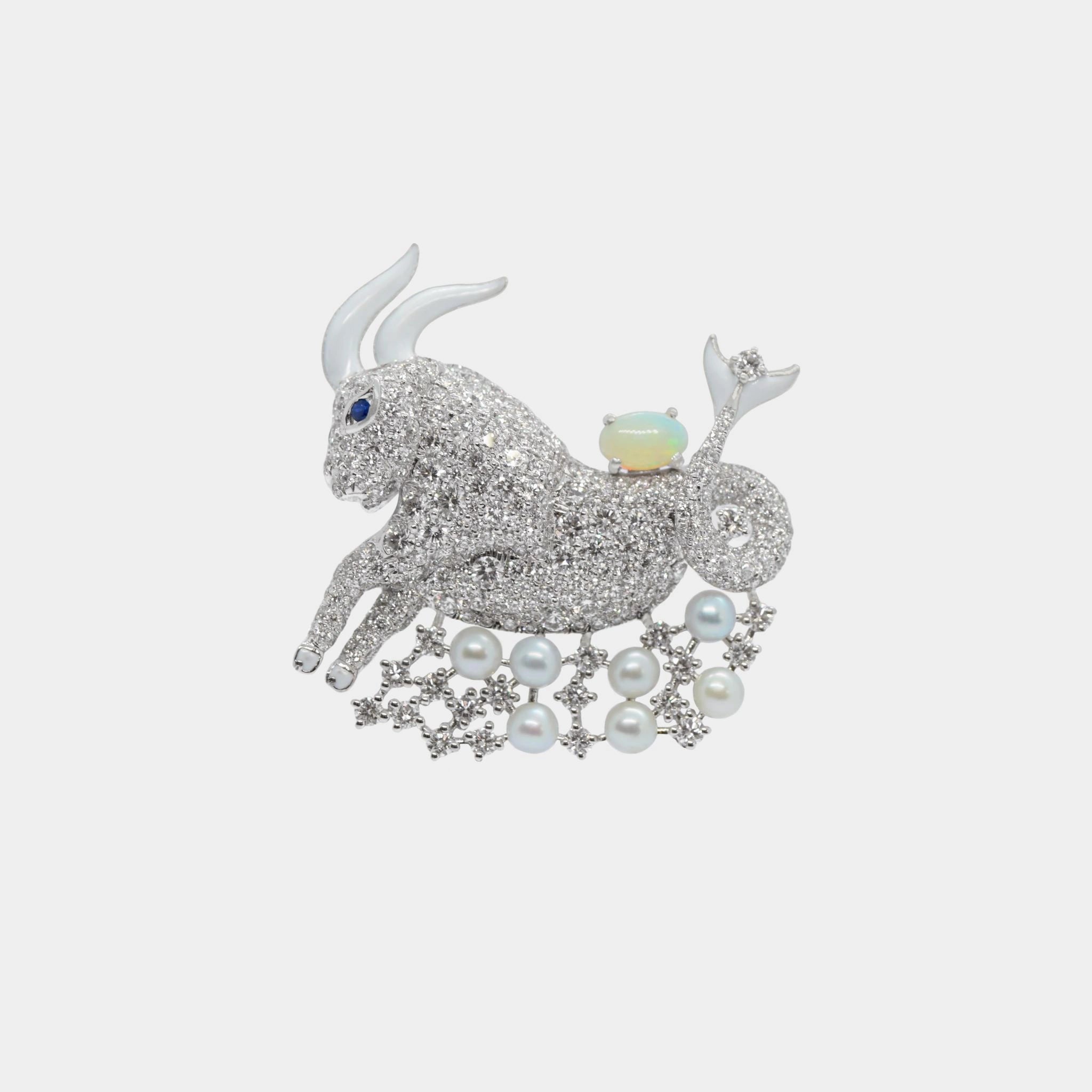 Zodiac Customized Bag Bijoux Capricorn