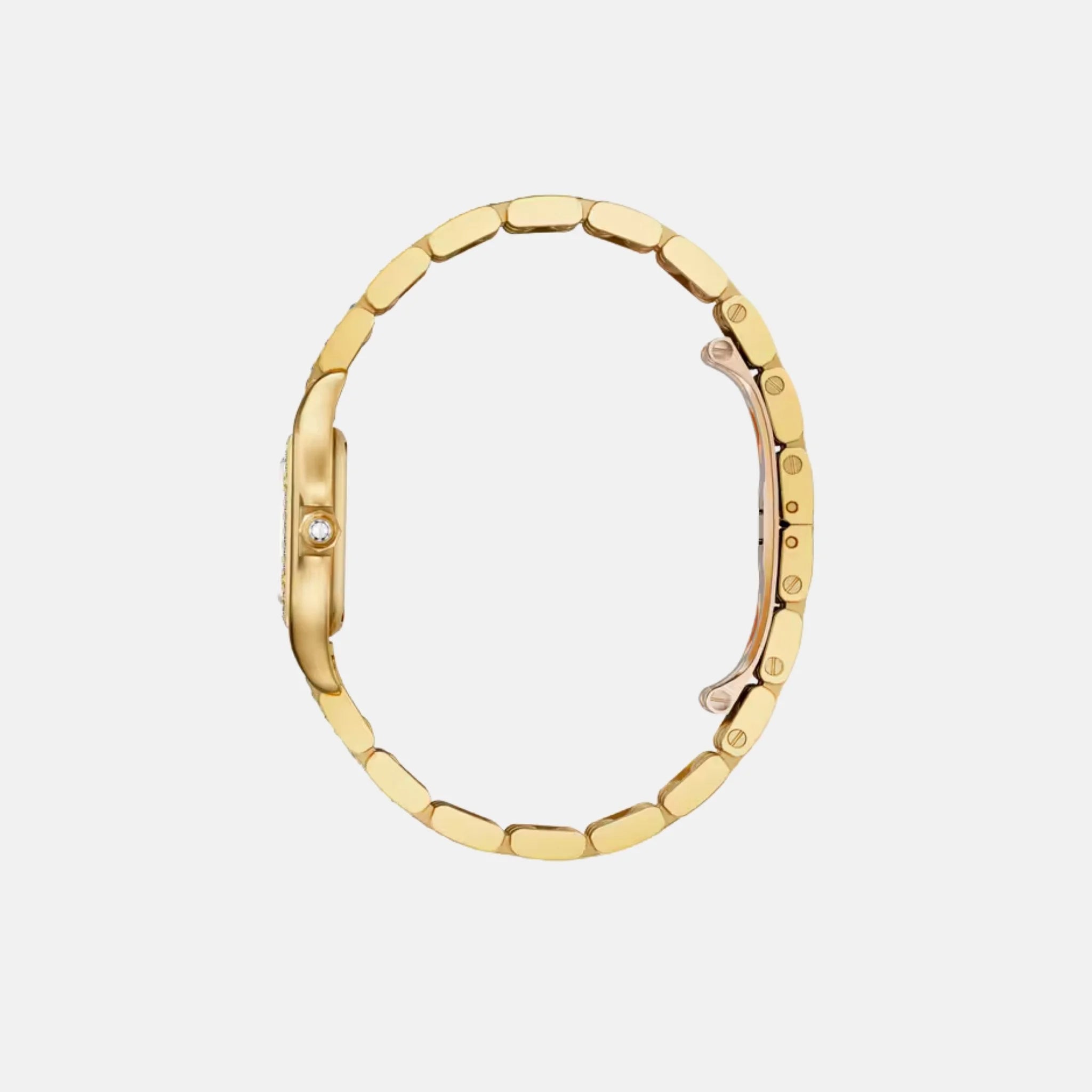 Cartier Panthere Small 18K Yellow Gold Diamond Set WJPN0059, Side