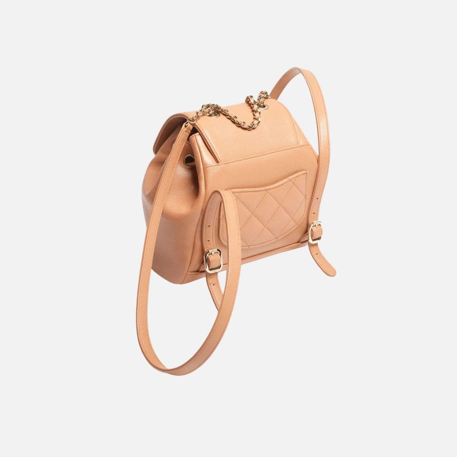 Chanel Backpack in Shiny Grained Calfskin and Gold Metal, Back