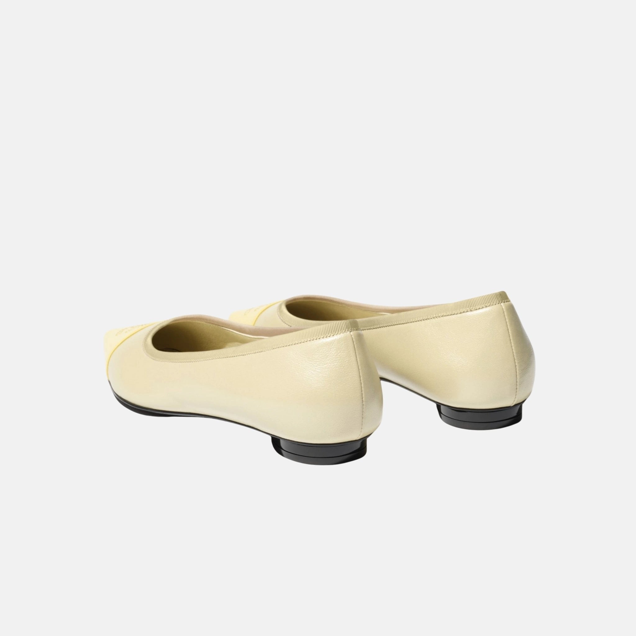 Chanel Ballet Flats in Iridescent Lambskin, Back