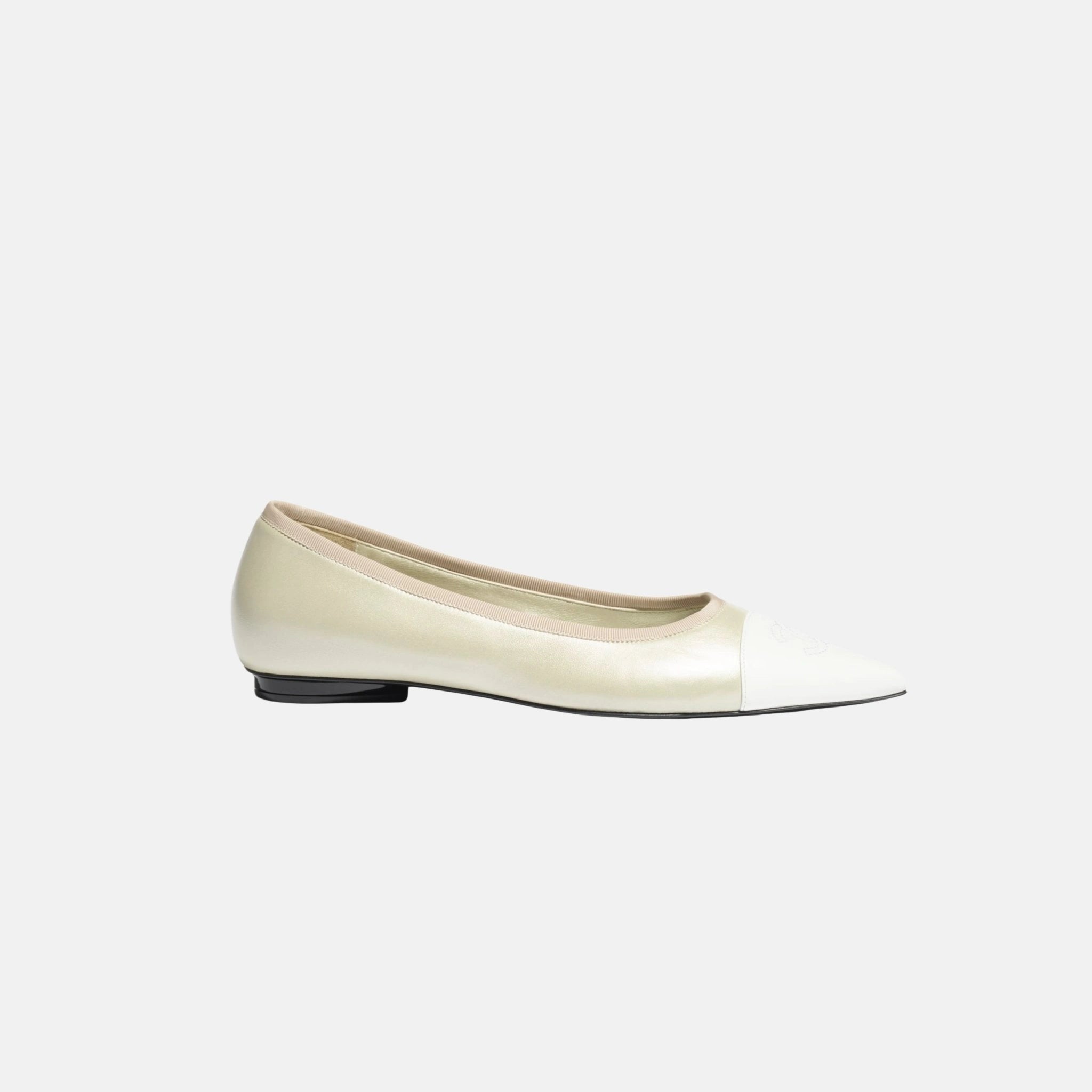 Ballet Flats in Iridescent Lambskin