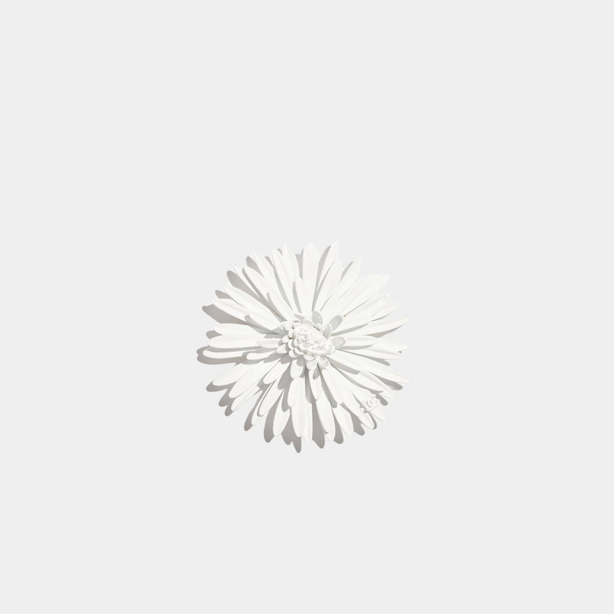 Chanel Brooch Metal & Resin, White, Front