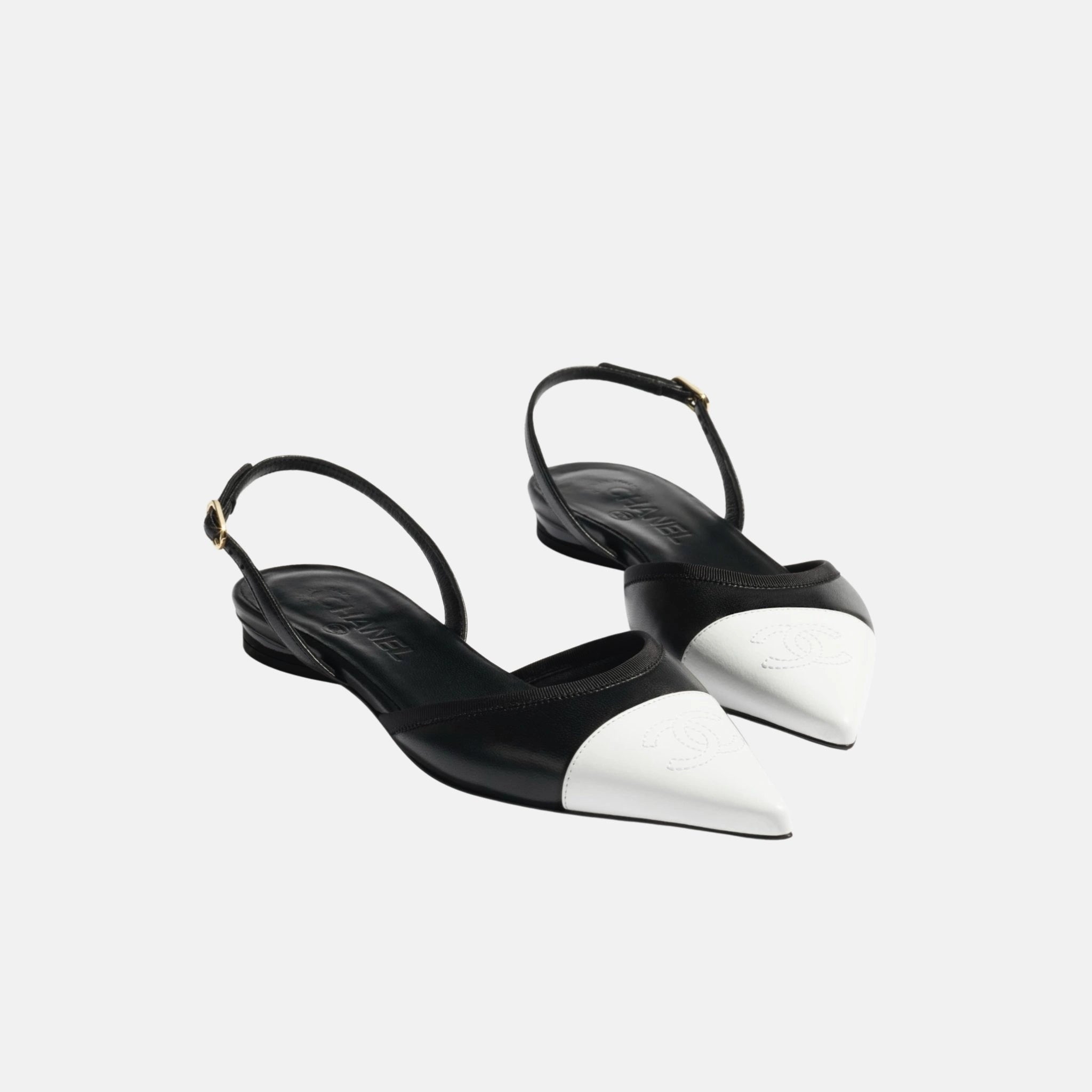 Chanel Slingbacks in Iridescent Lambskin, Front
