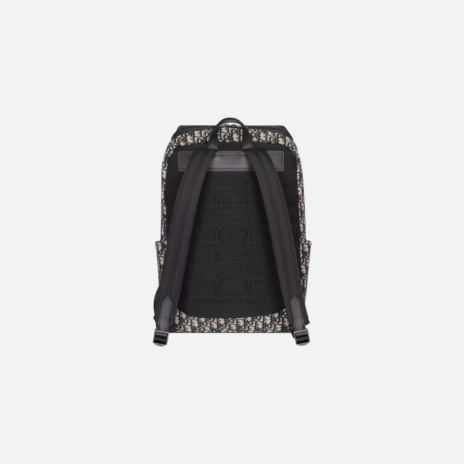 Dior Rider Soft Zipped Backpack In Oblique Jacquard And Grained Calfskin, Beige, Back