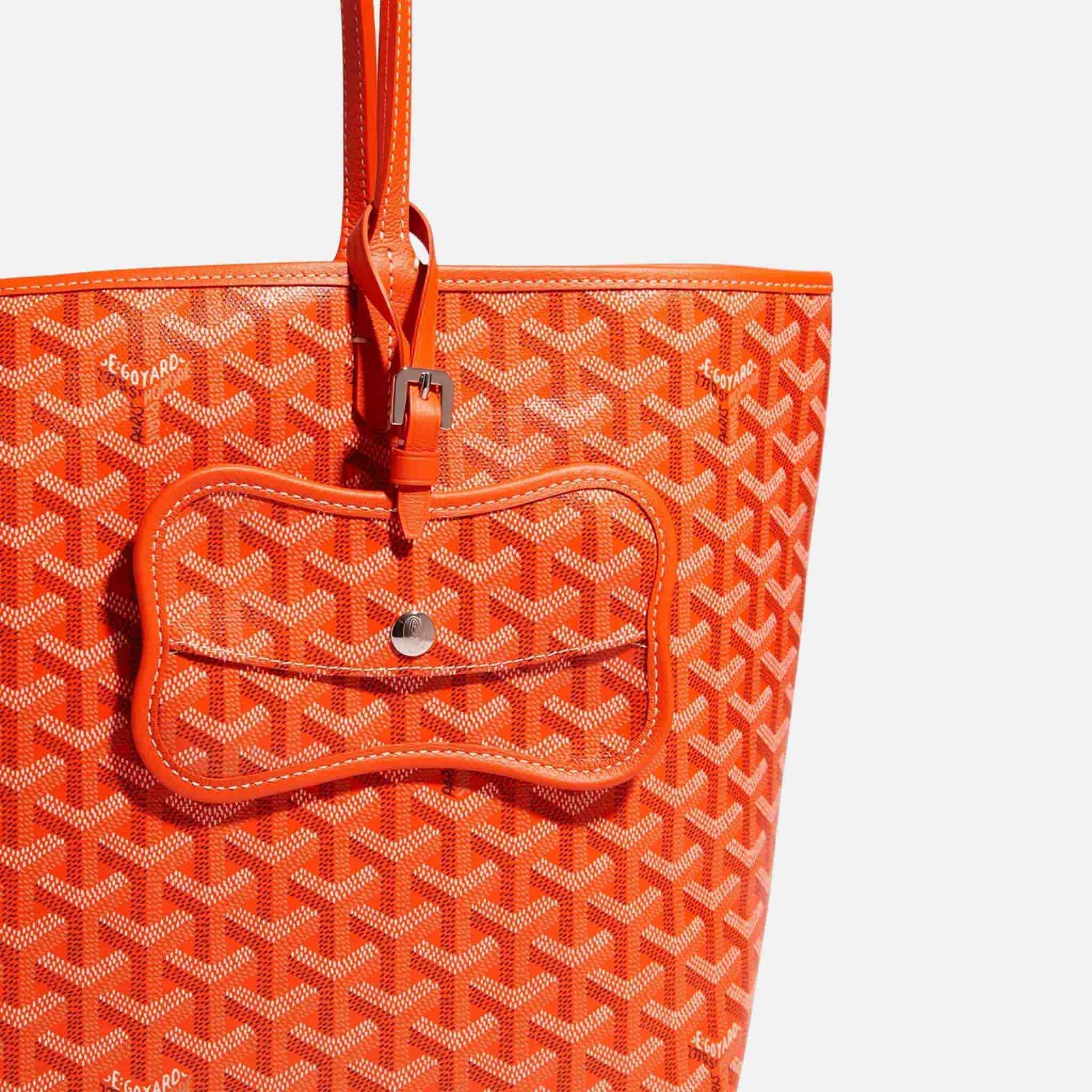 Goyard Os Grey Luxury Dog Pocket, Orange, Close