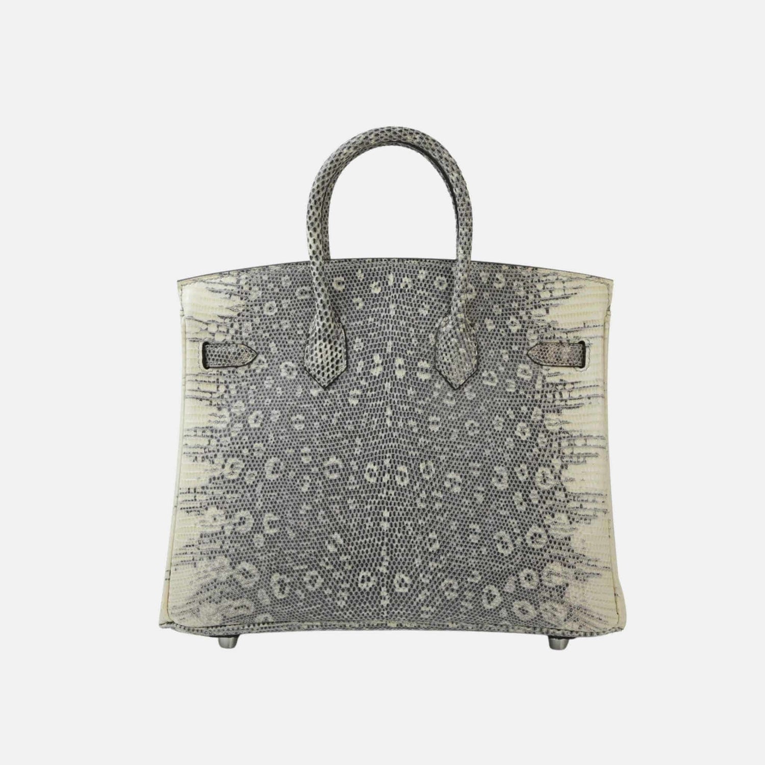 Hermes Birkin 25 Lizard Ombre PHW, Back