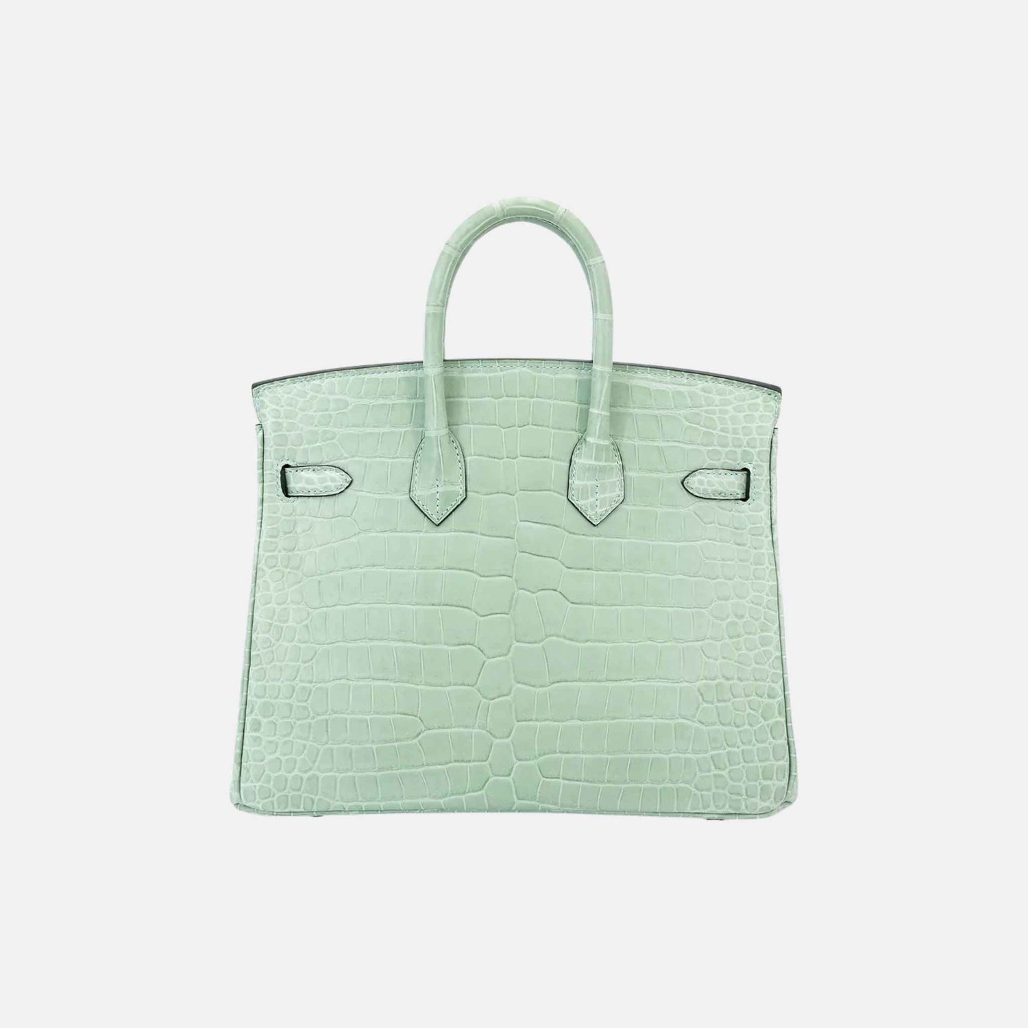 Hermes Birkin 25  Matte Porosus Crocodile Vert d’Eau GHW, Back