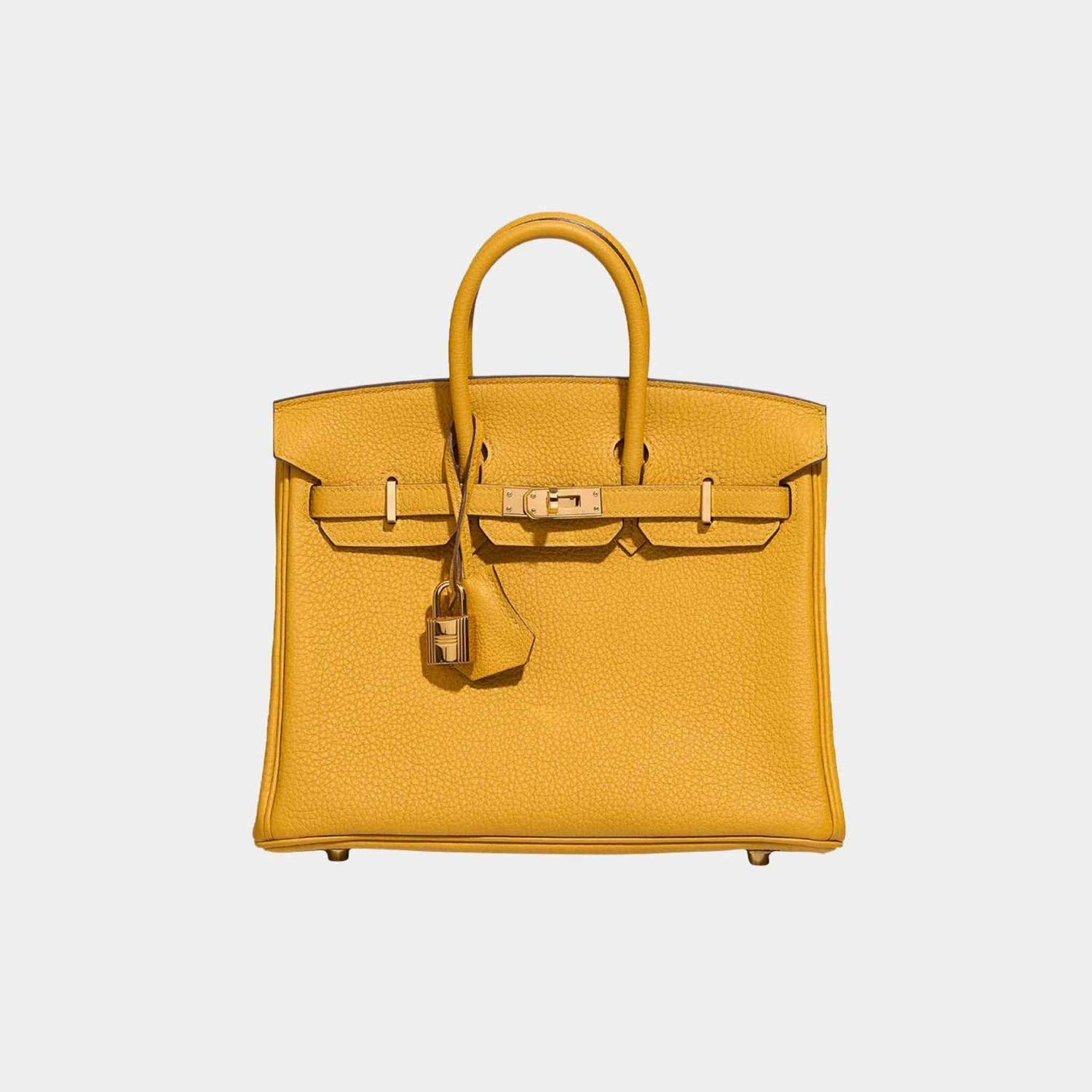 Hermes Birkin 25 Togo Jaune Ambre, Front