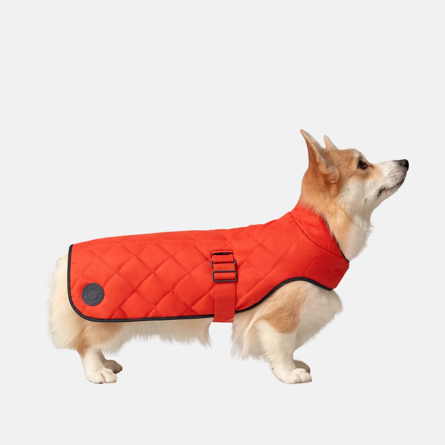 Hermes Luxury Dog Coat In Polyester, Feu