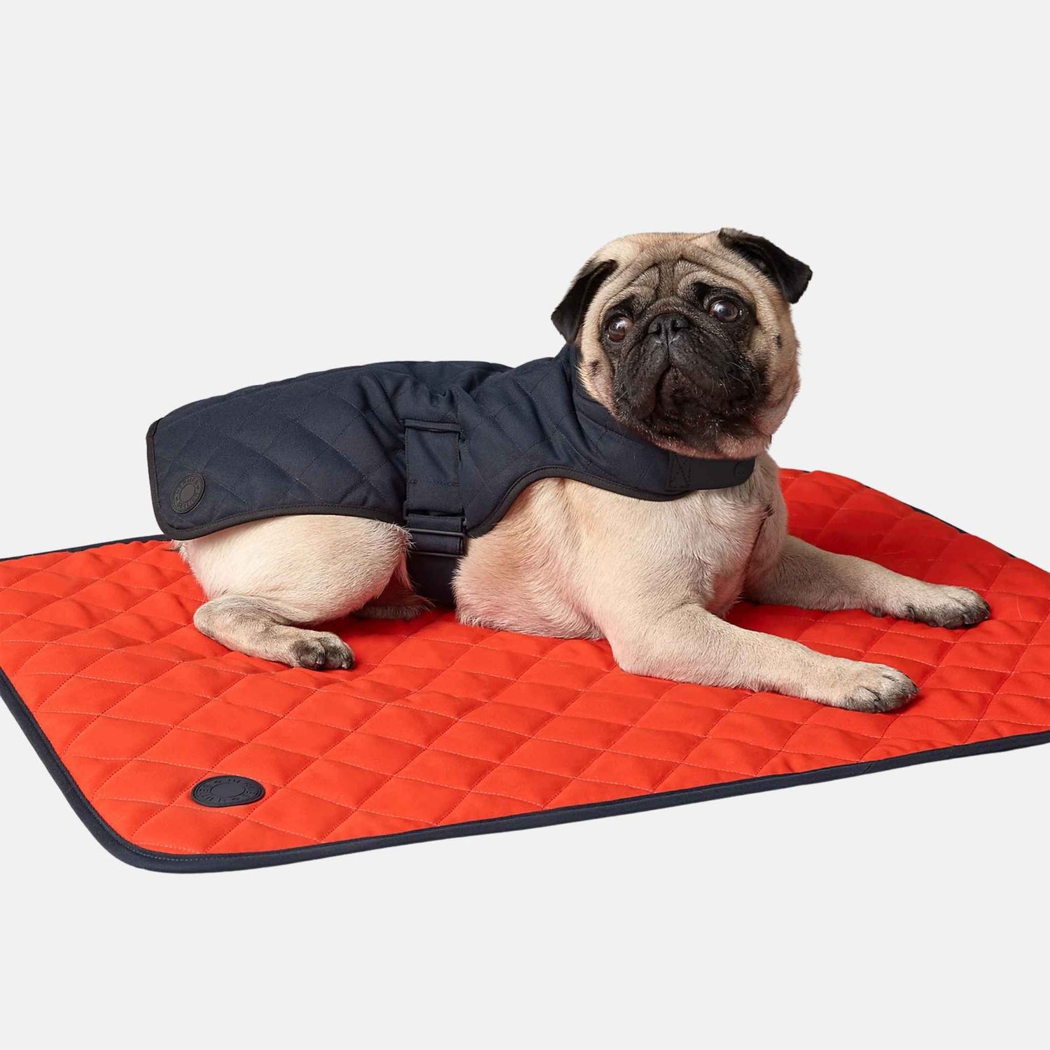 Hermes Luxury Dog Coat In Polyester, Navy