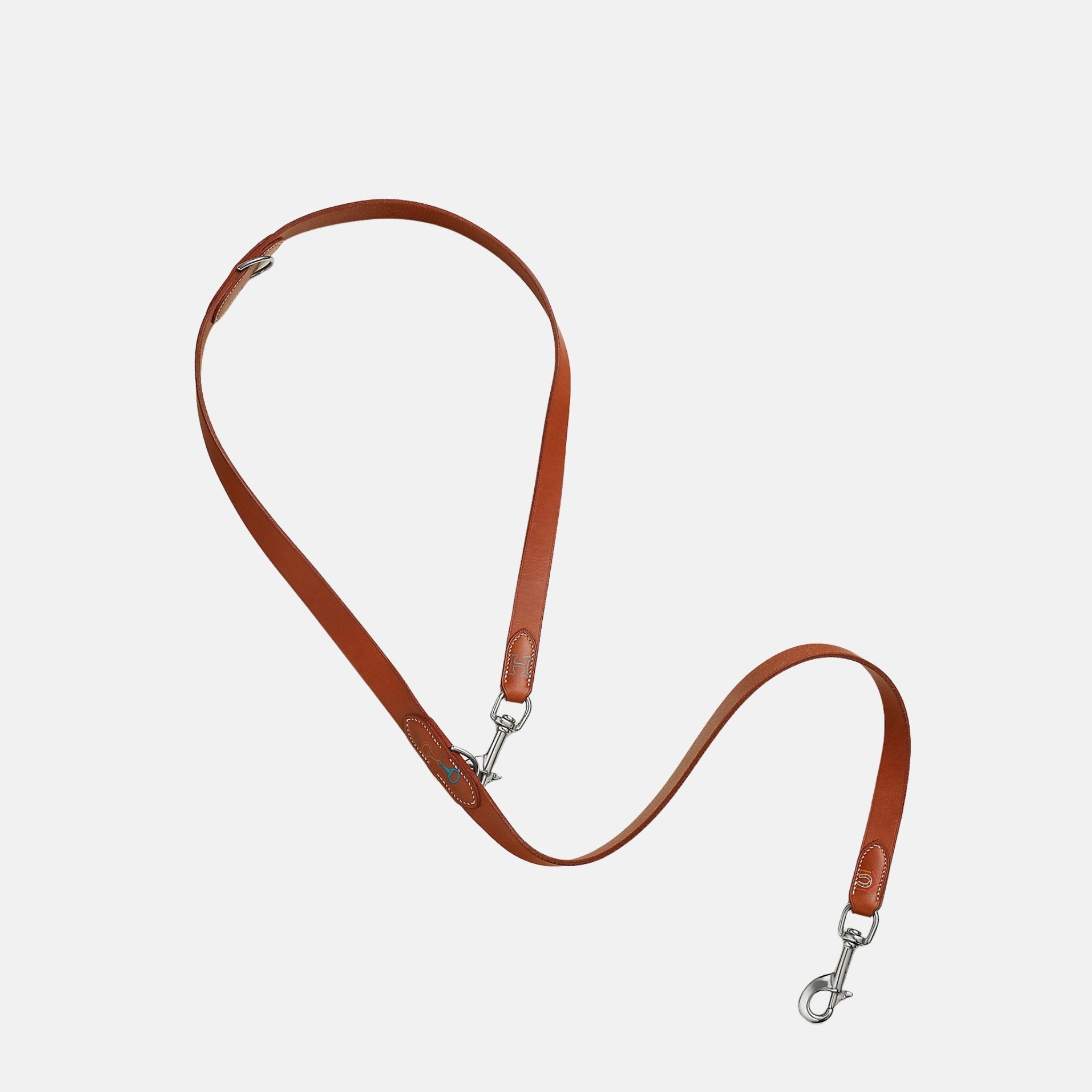 Hermes Naughty Luxury Dog Leash