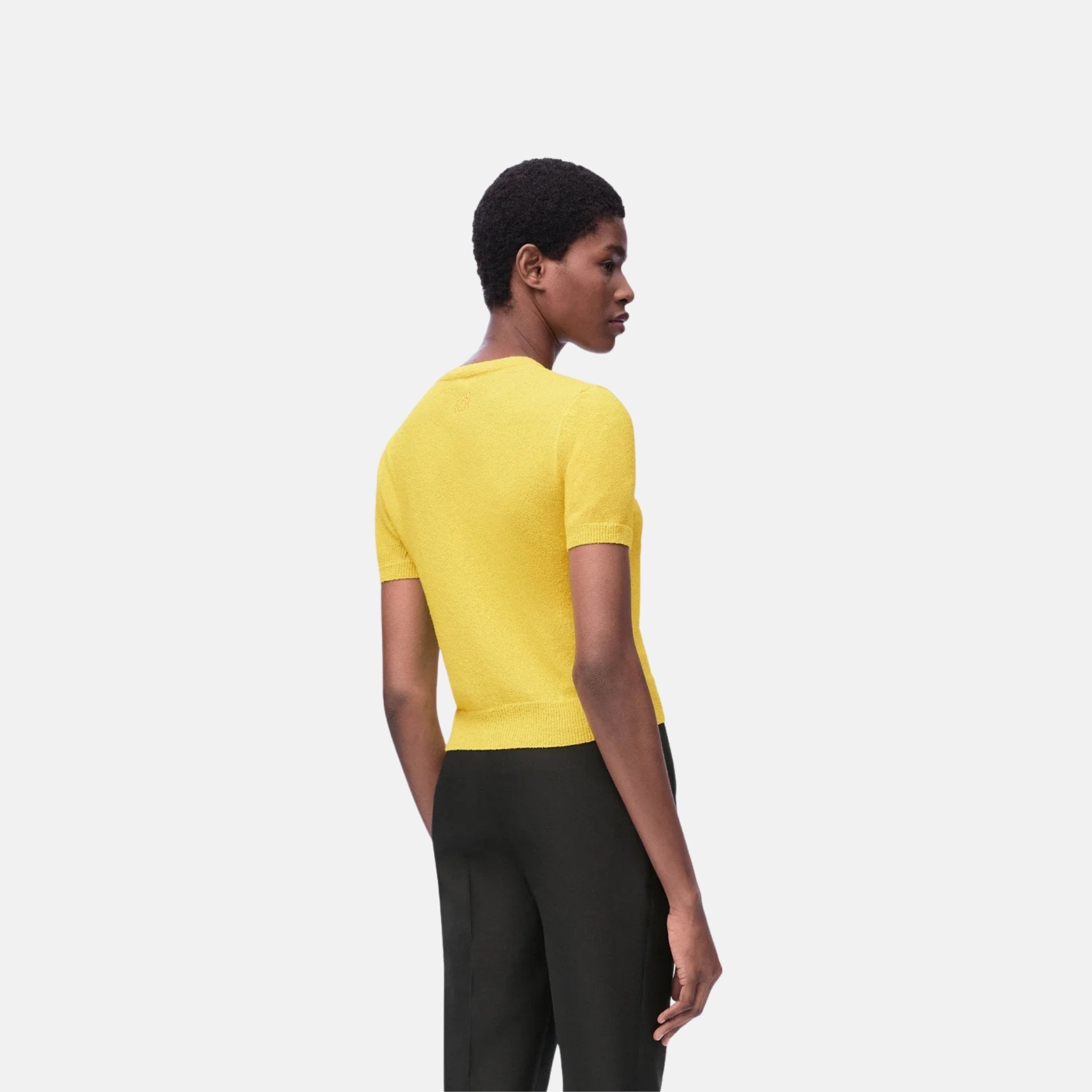 Loewe Short Sleeve Sweater In Cotton Blend, Back