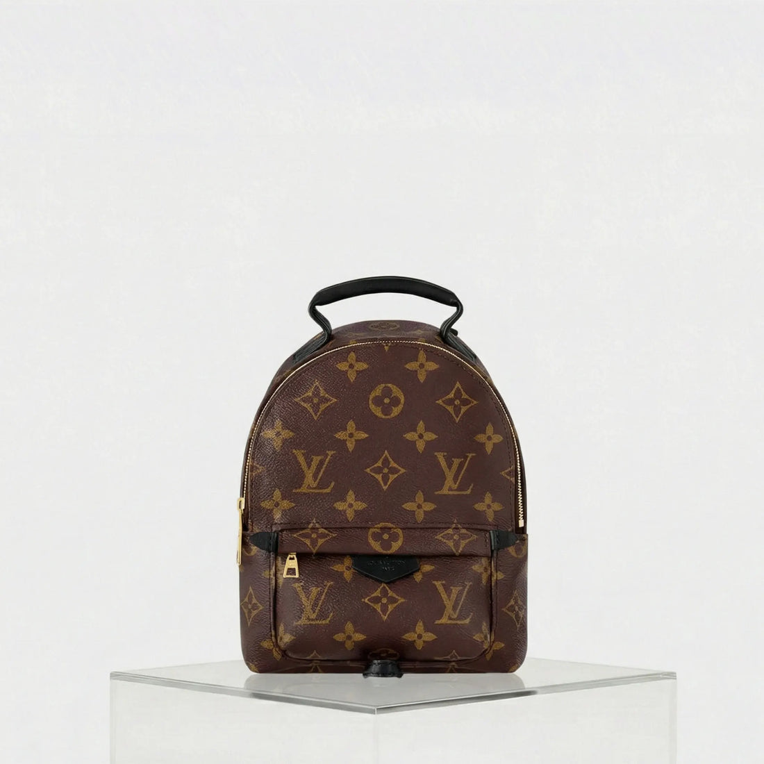 Louis Vuitton Palm Springs Mini Backpack, Front