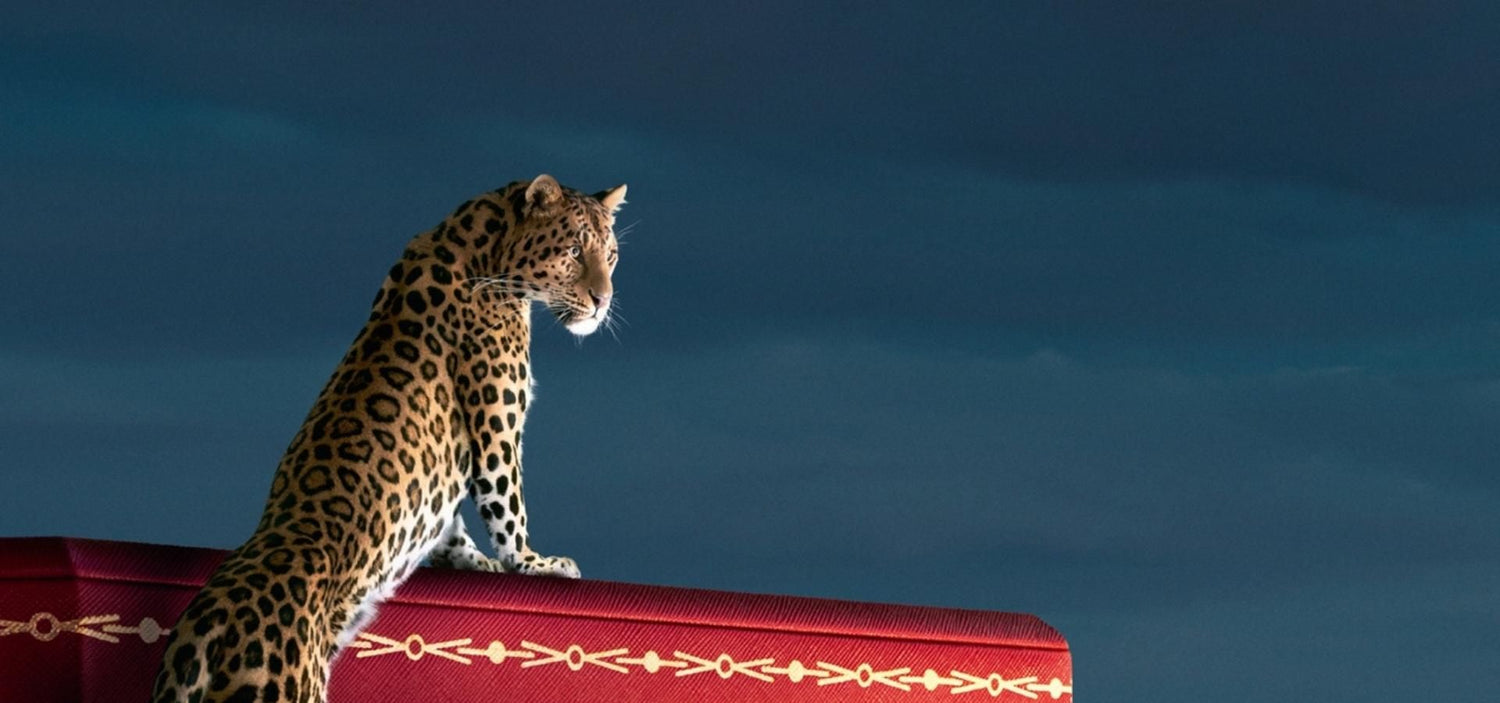 Cartier UAE, Cartier Watch Collection, Cartier Dubai