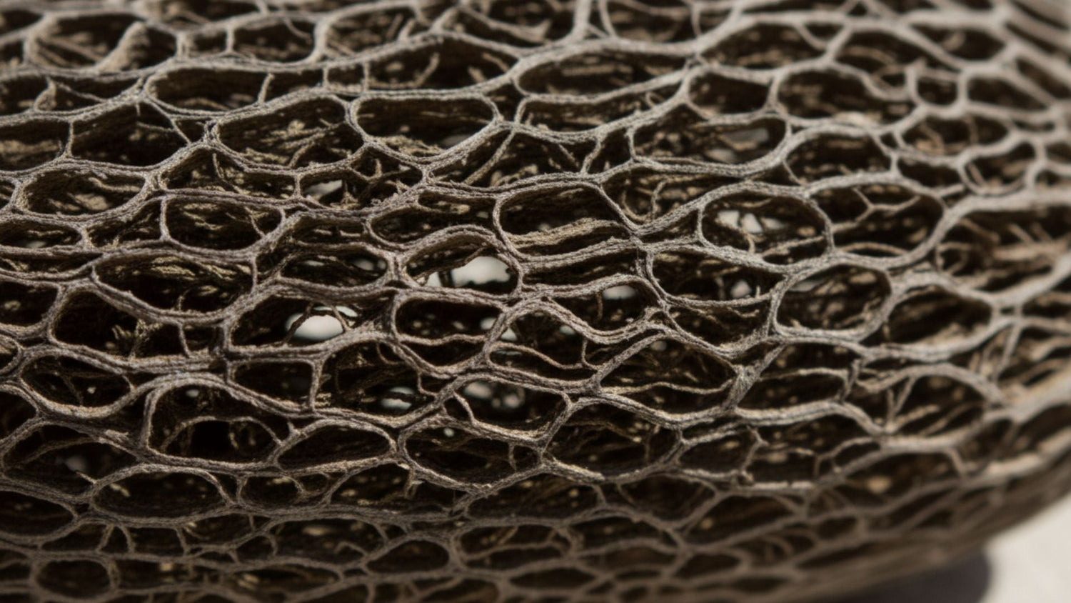 Loveness Lee Collection UAE