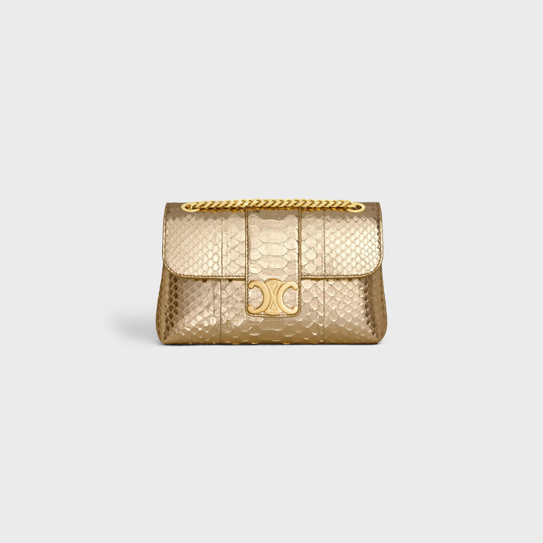 Teen Celine Victoire Bag In Laminated Python