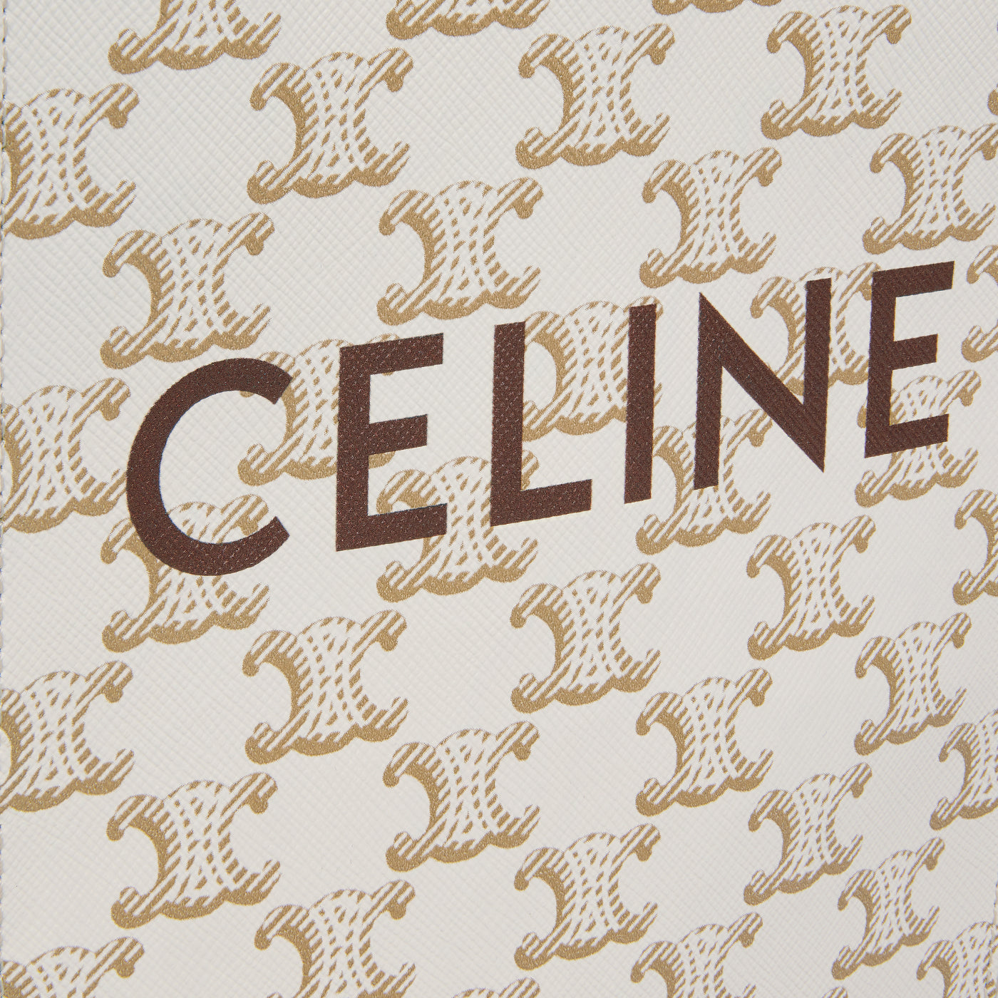 Mini Vertical Cabas In Triomphe Canvas And Calfskin With Celine Print