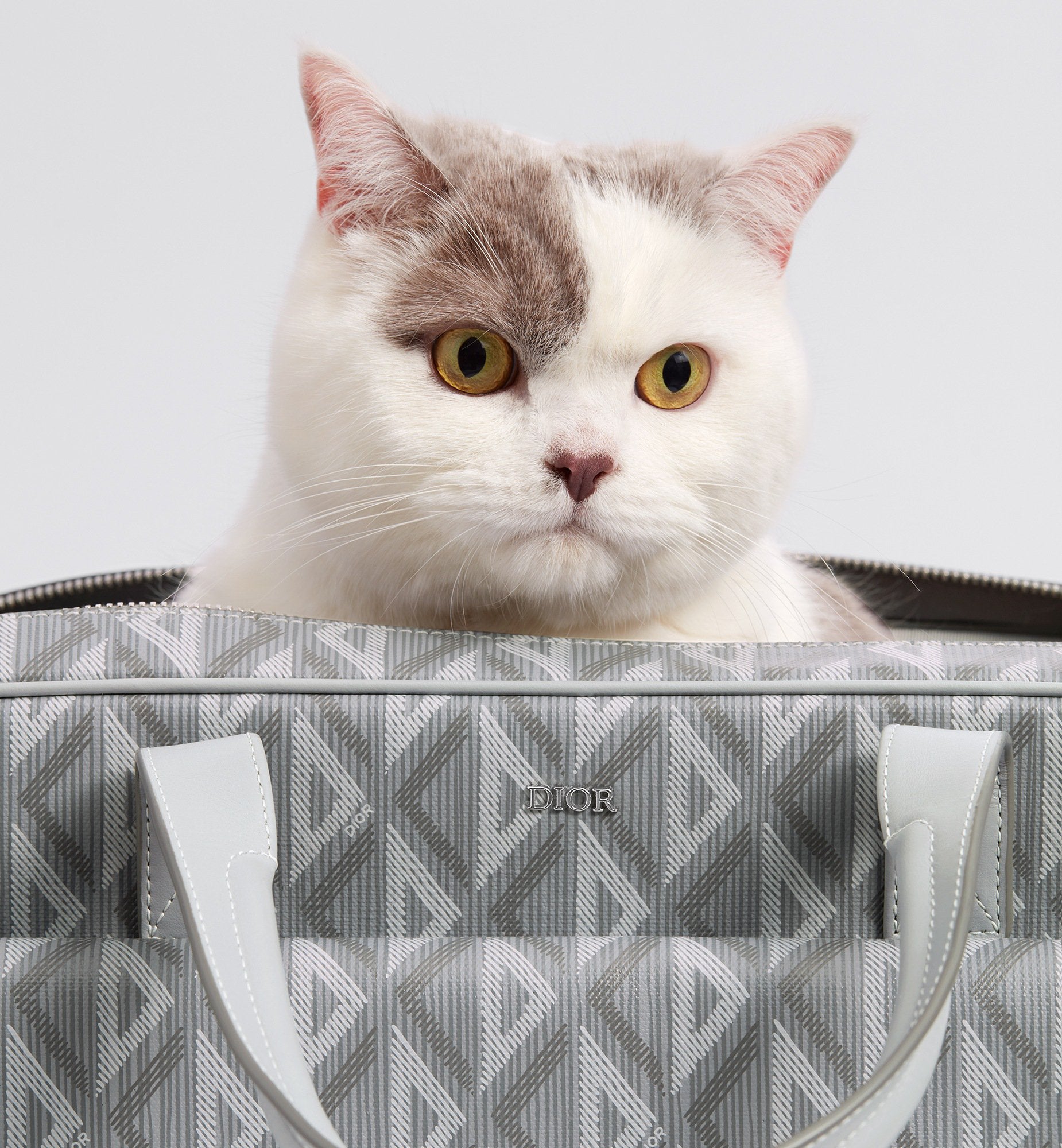 Hit The Road Pet Carrier Bag Dior Gray Coated Cotton Canvas With Cd Diamond Print