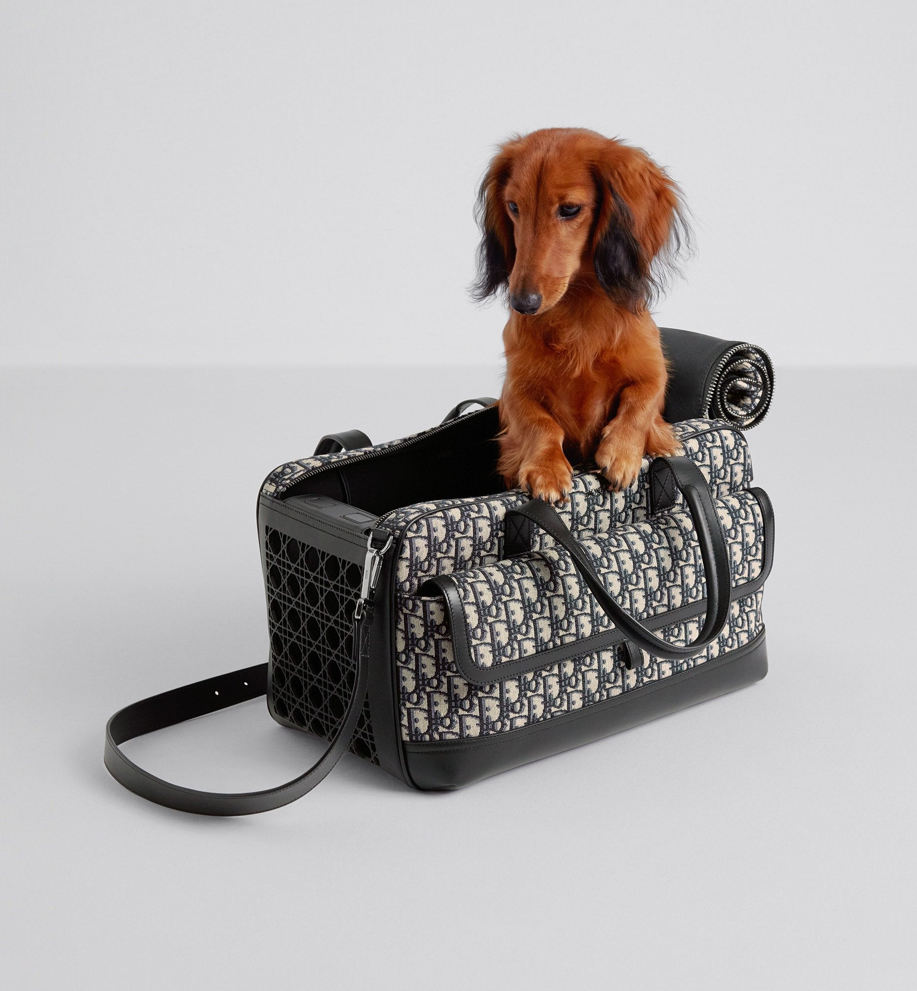 Hit The Road Pet Carrier Bag Beige And Black Dior Oblique Jacquard And Black Smooth Calfskin