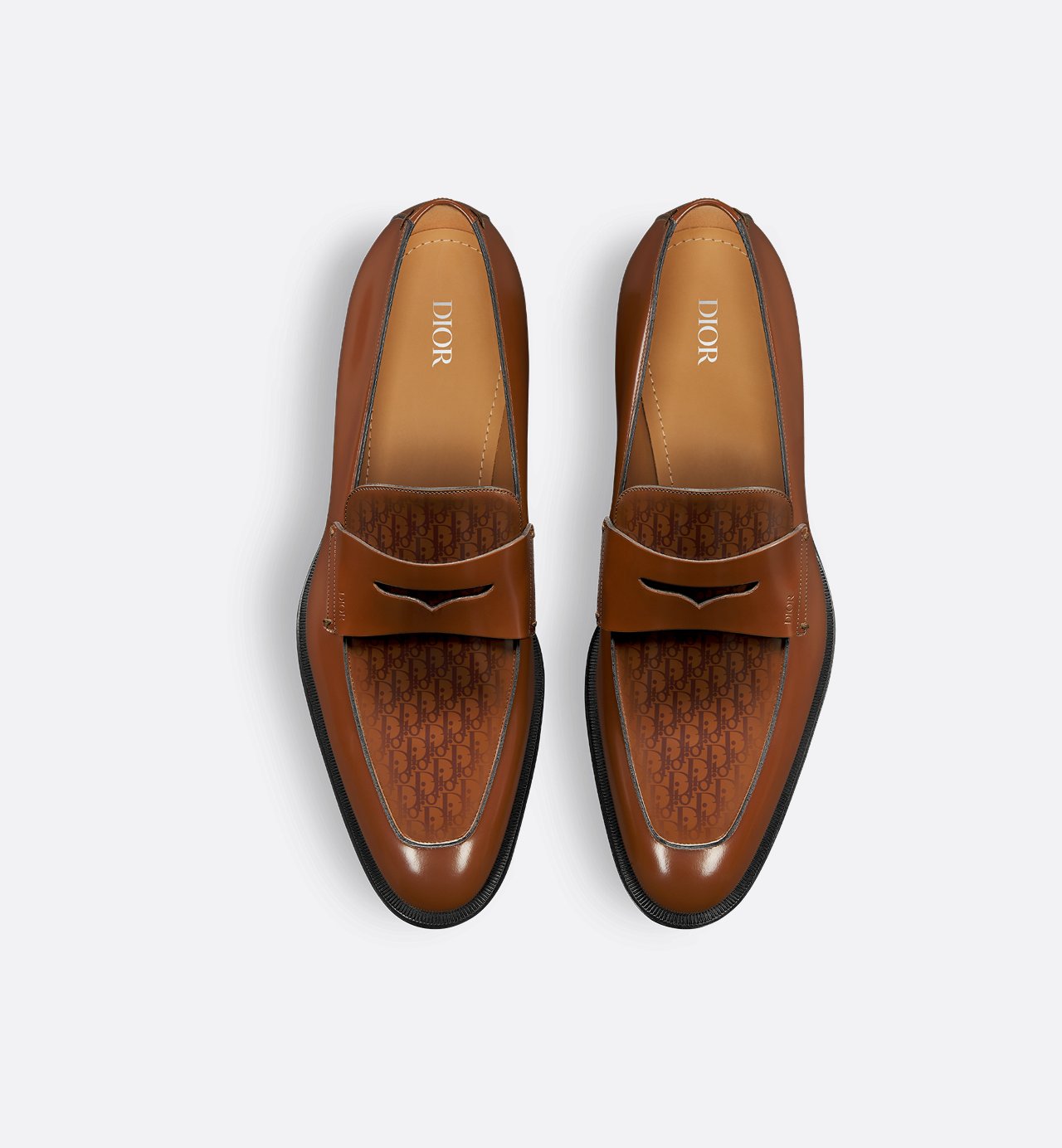 Dior Timeless Loafer Brown Polished Calfskin With Dior Oblique Gradient