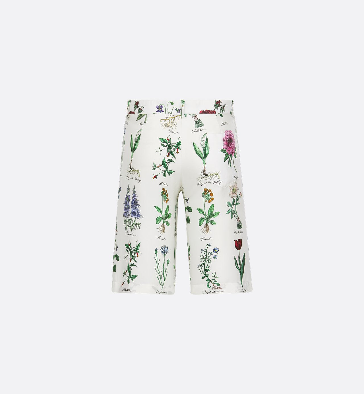 Herbarium Illustration Bermuda Shorts White Silk