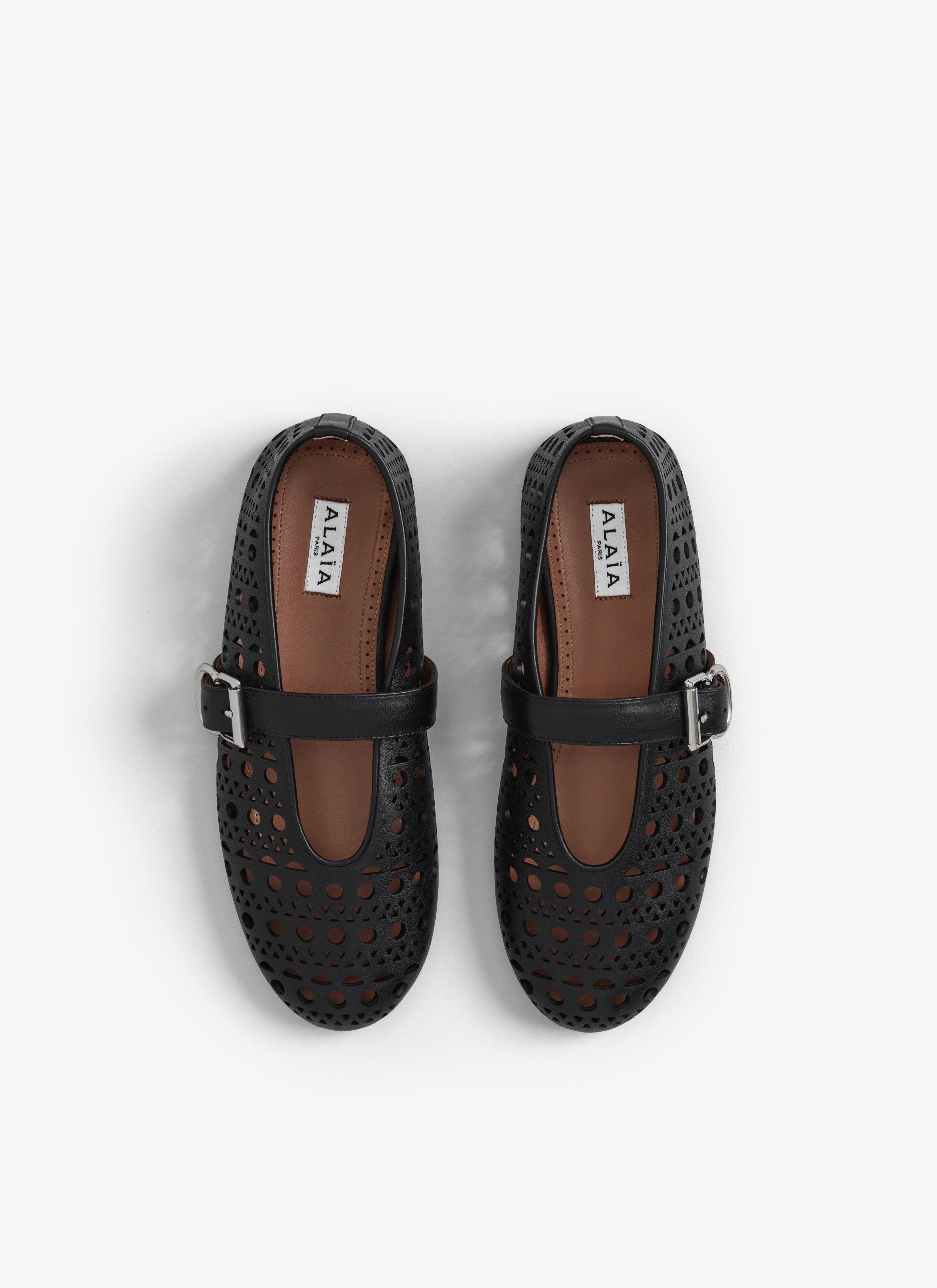 Ballet Flats In Vienne Lambskin