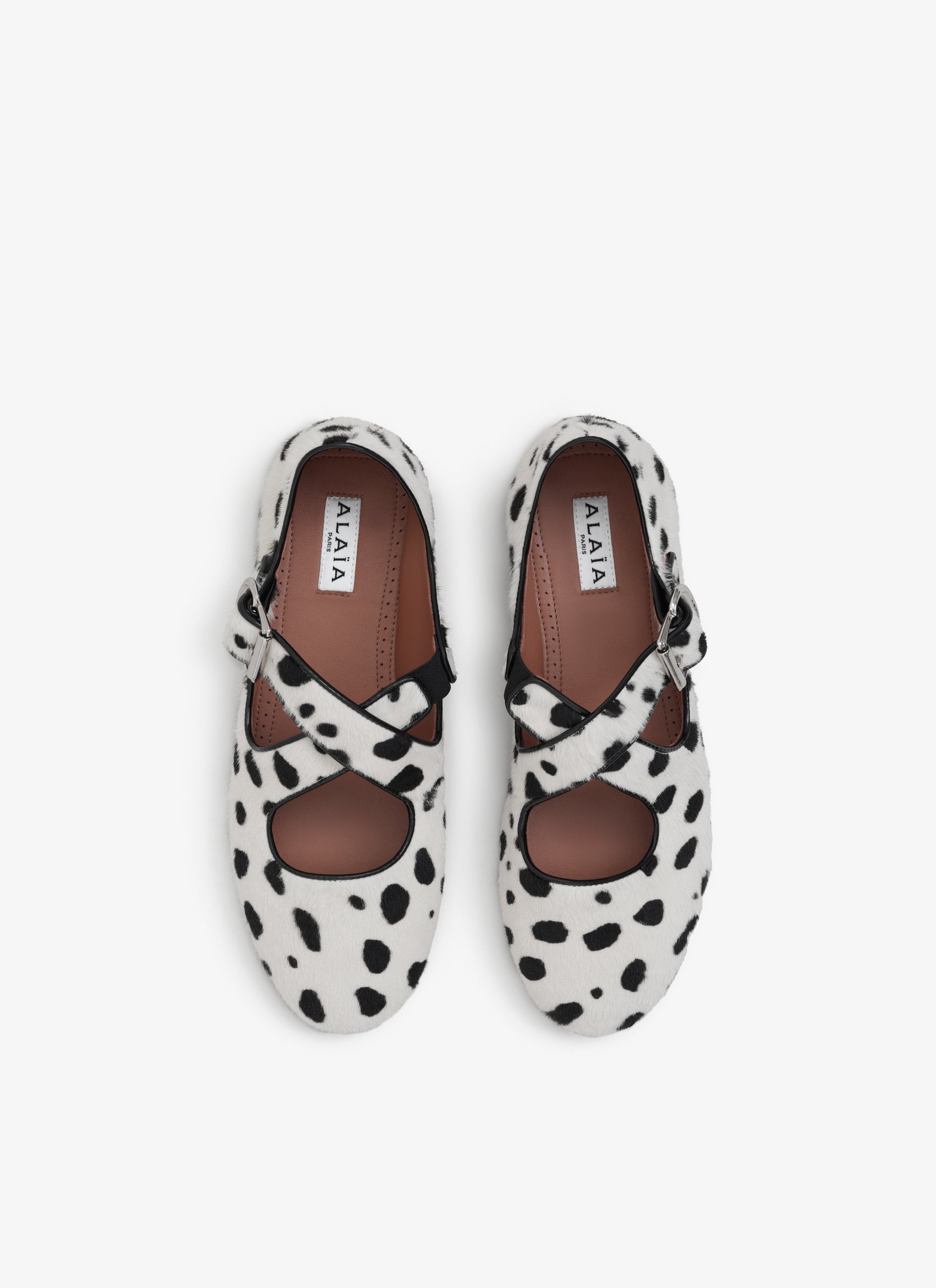 Criss Cross Ballet Flats In Dots Haircalf