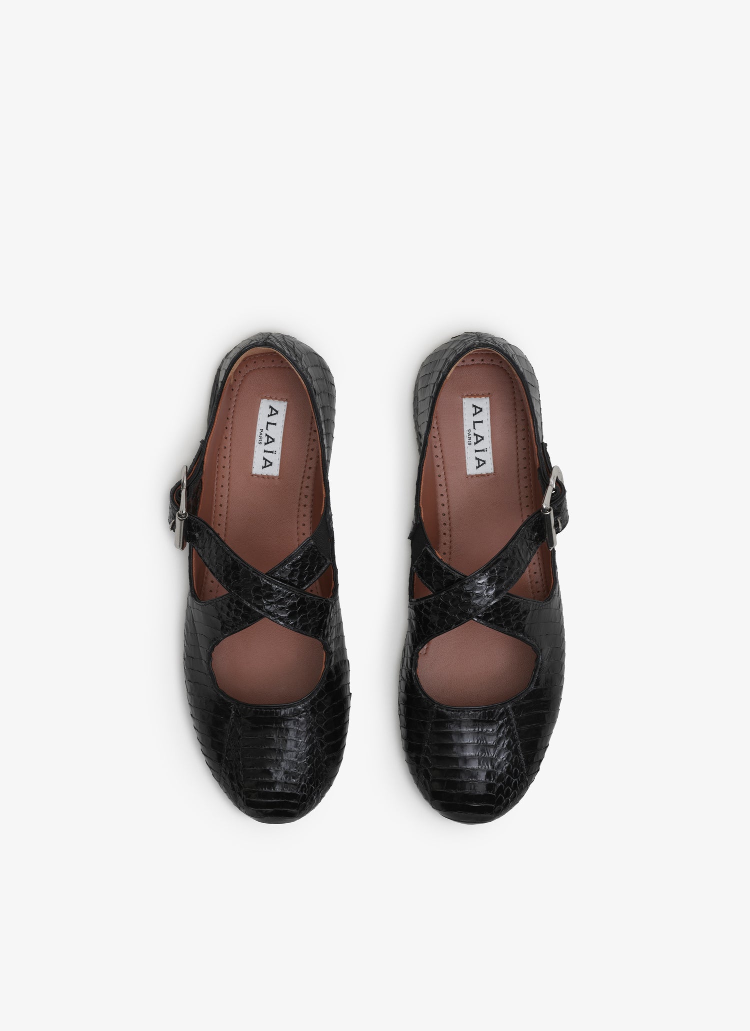 Criss Cross Ballet Flats In Elaphe