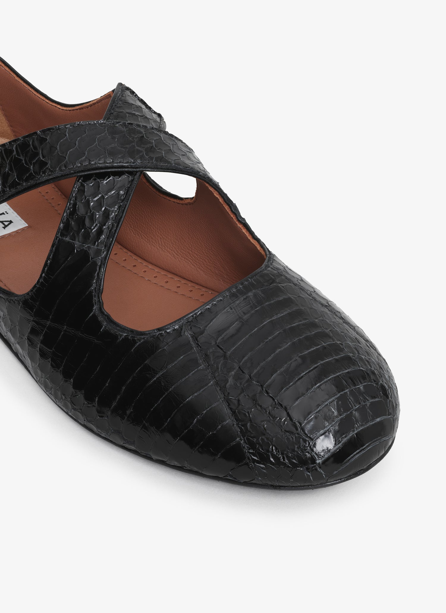 Criss Cross Ballet Flats In Elaphe