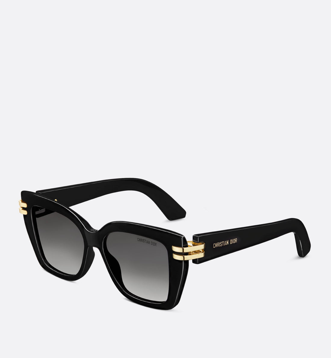 Cdior S1I Black Square Sunglasses