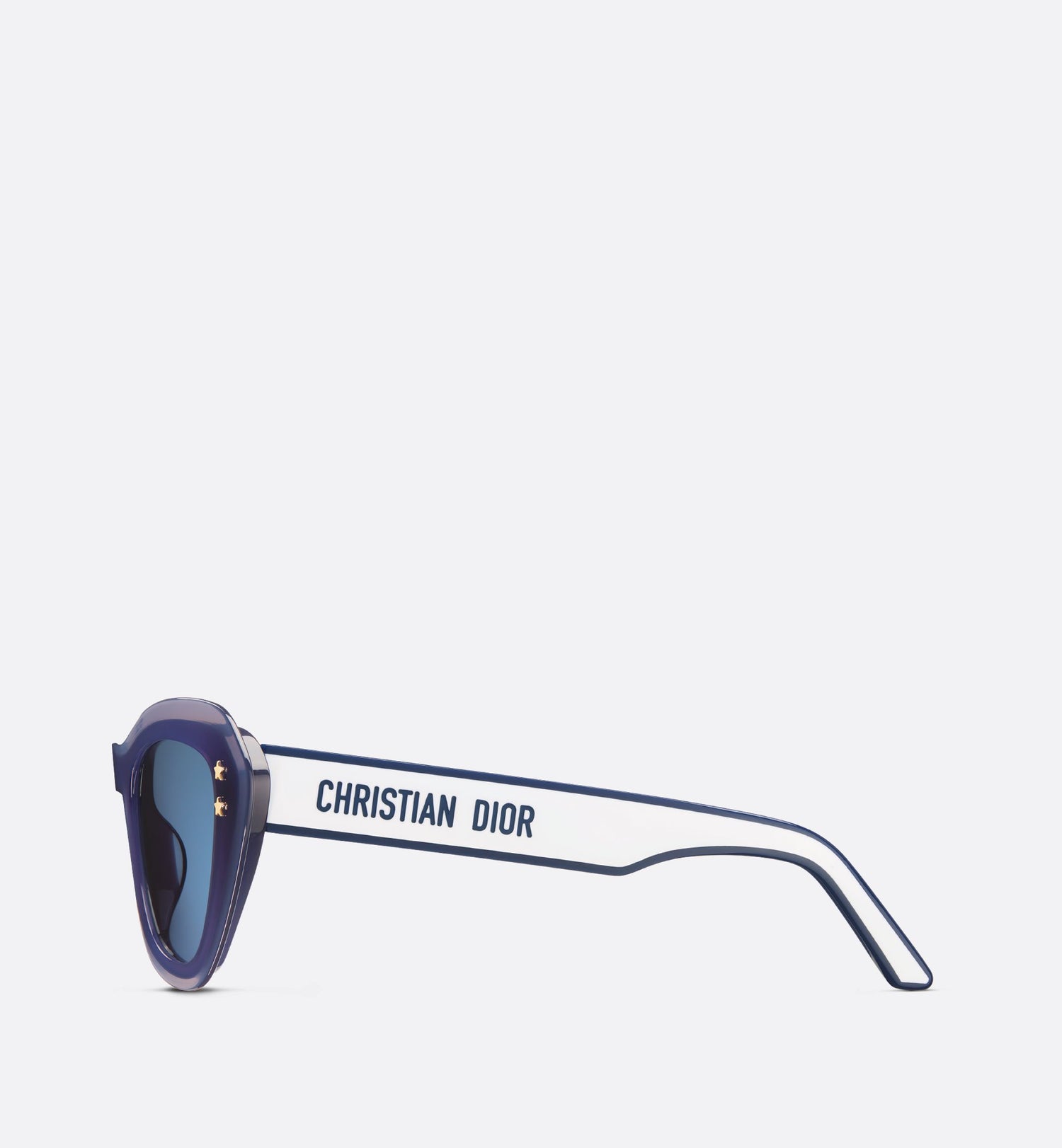 Diorpacific B3U Transparent Blue Butterfly Sunglasses