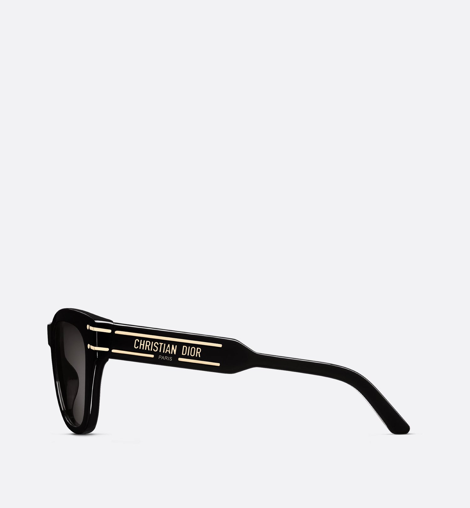 Diorsignature B4I Black Butterfly Sunglasses