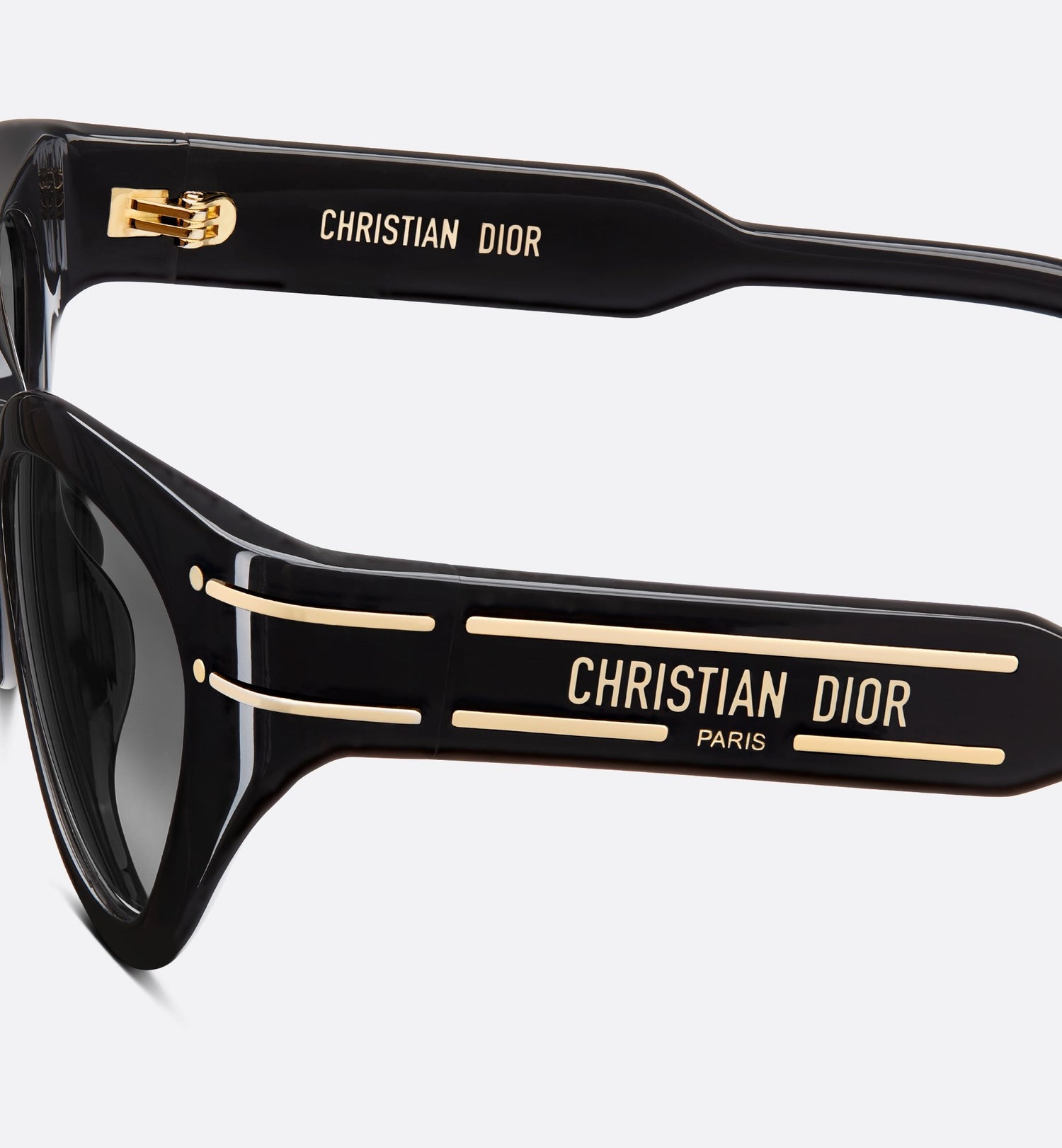 Diorsignature B7I Black Butterfly Sunglasses