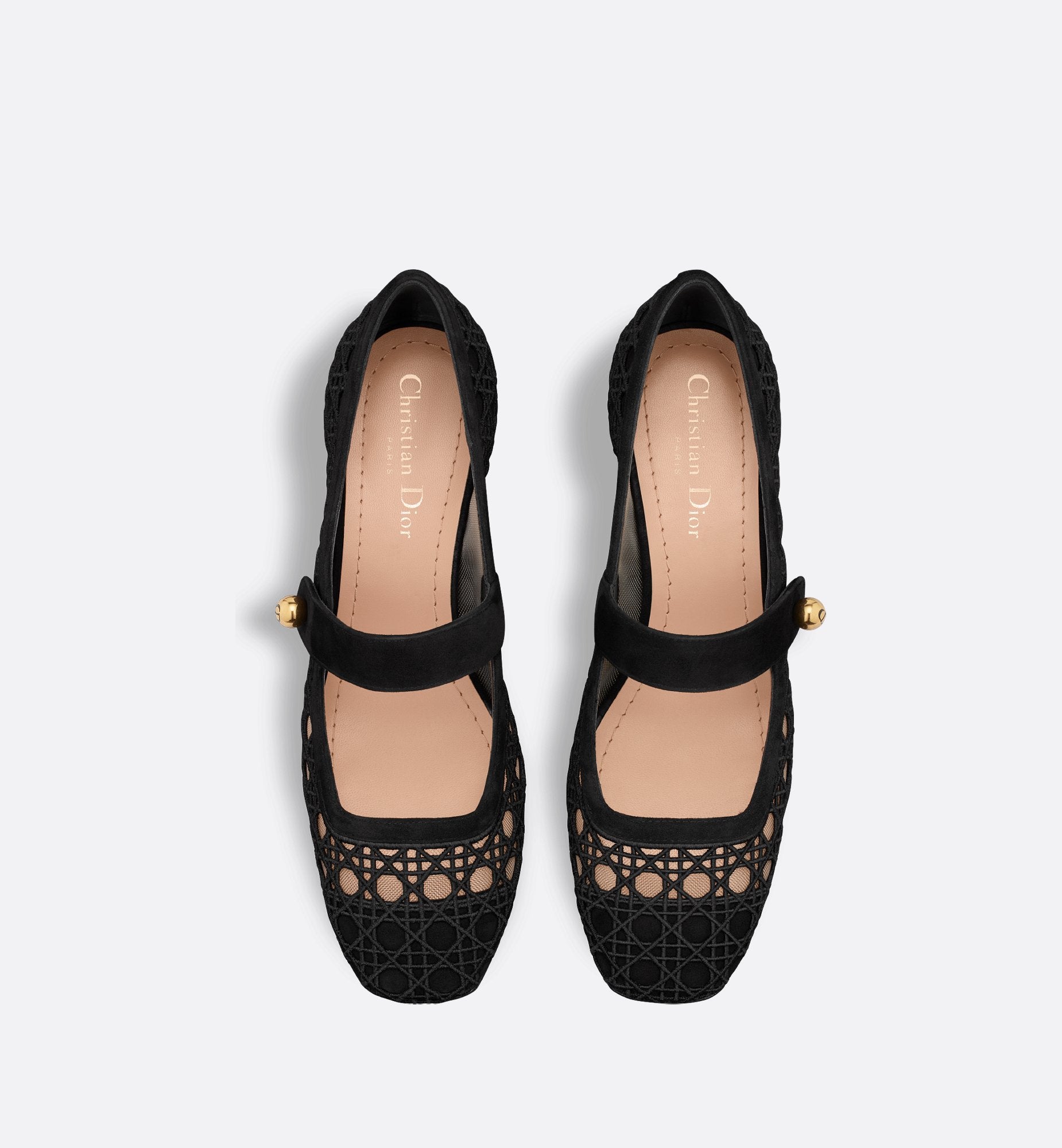 Dior Icon Pump Transparent Mesh Embroidered With Black Cannage Motif And Suede Goatskin