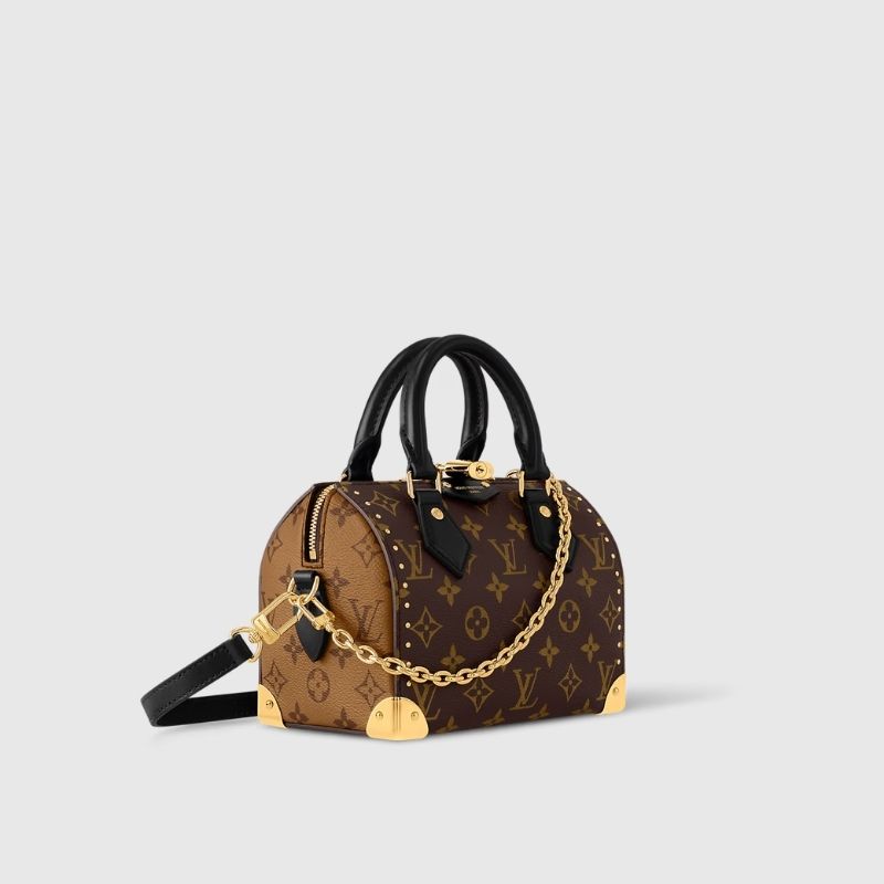 Louis Vuitton Speedy Trunk Hangbag Cruise 2025 Side View
