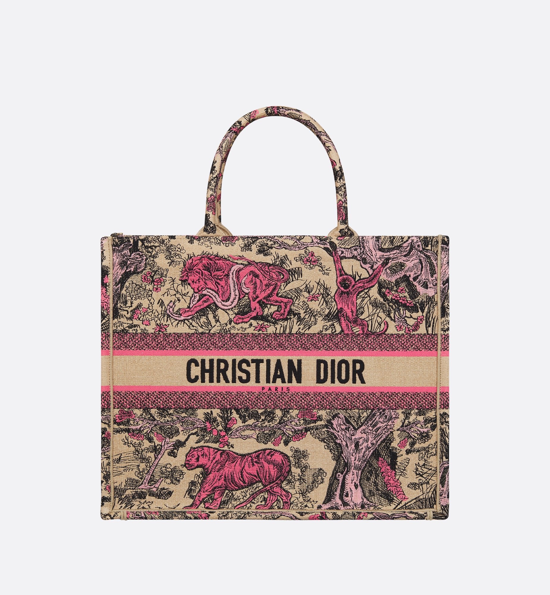 Dior tote bag multicolor sale