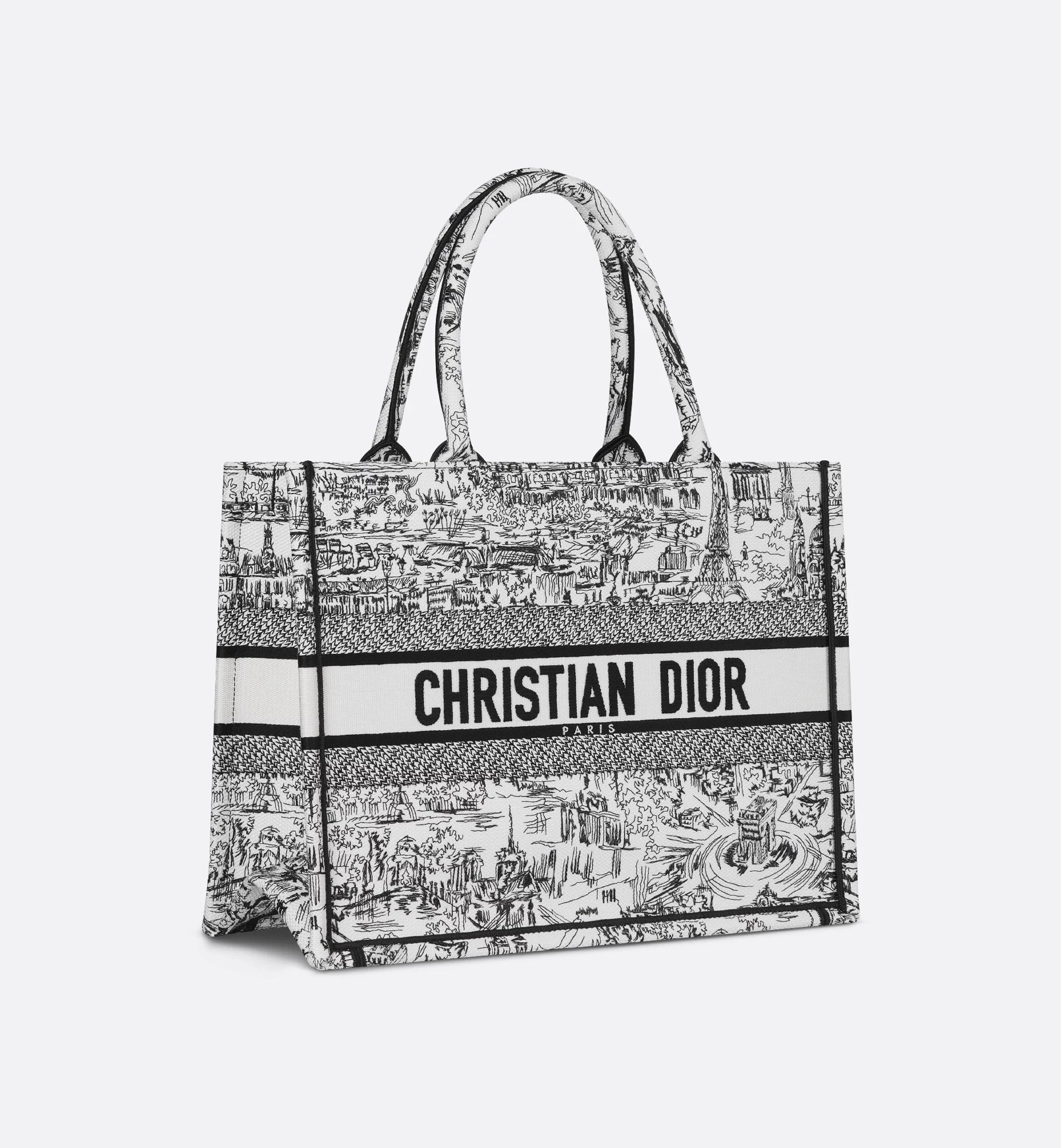 Medium Dior Book Tote White and Black Paris Allover Embroidery