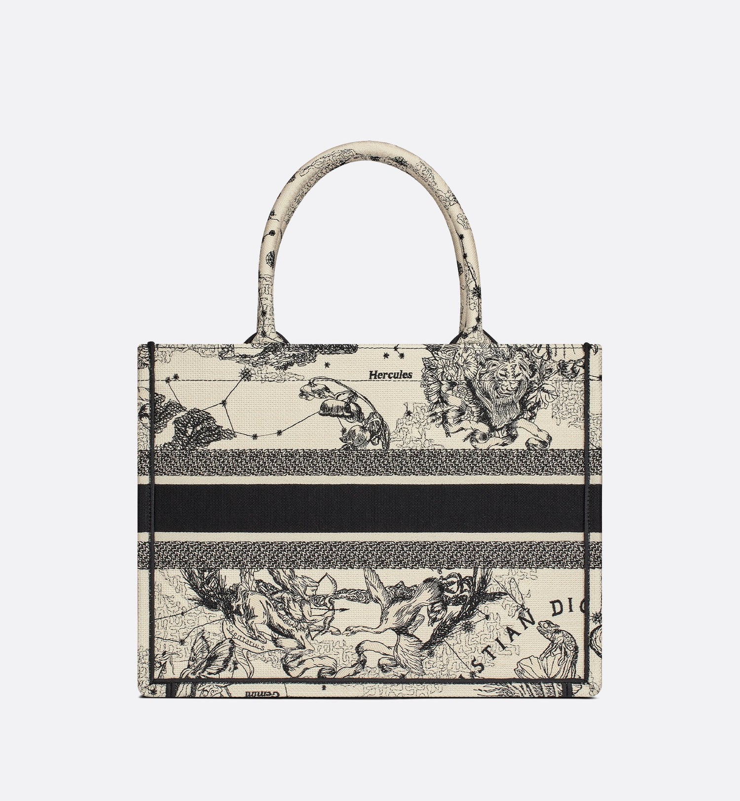 Medium Dior Book Tote Latte And Black Dior Zodiac Embroidery