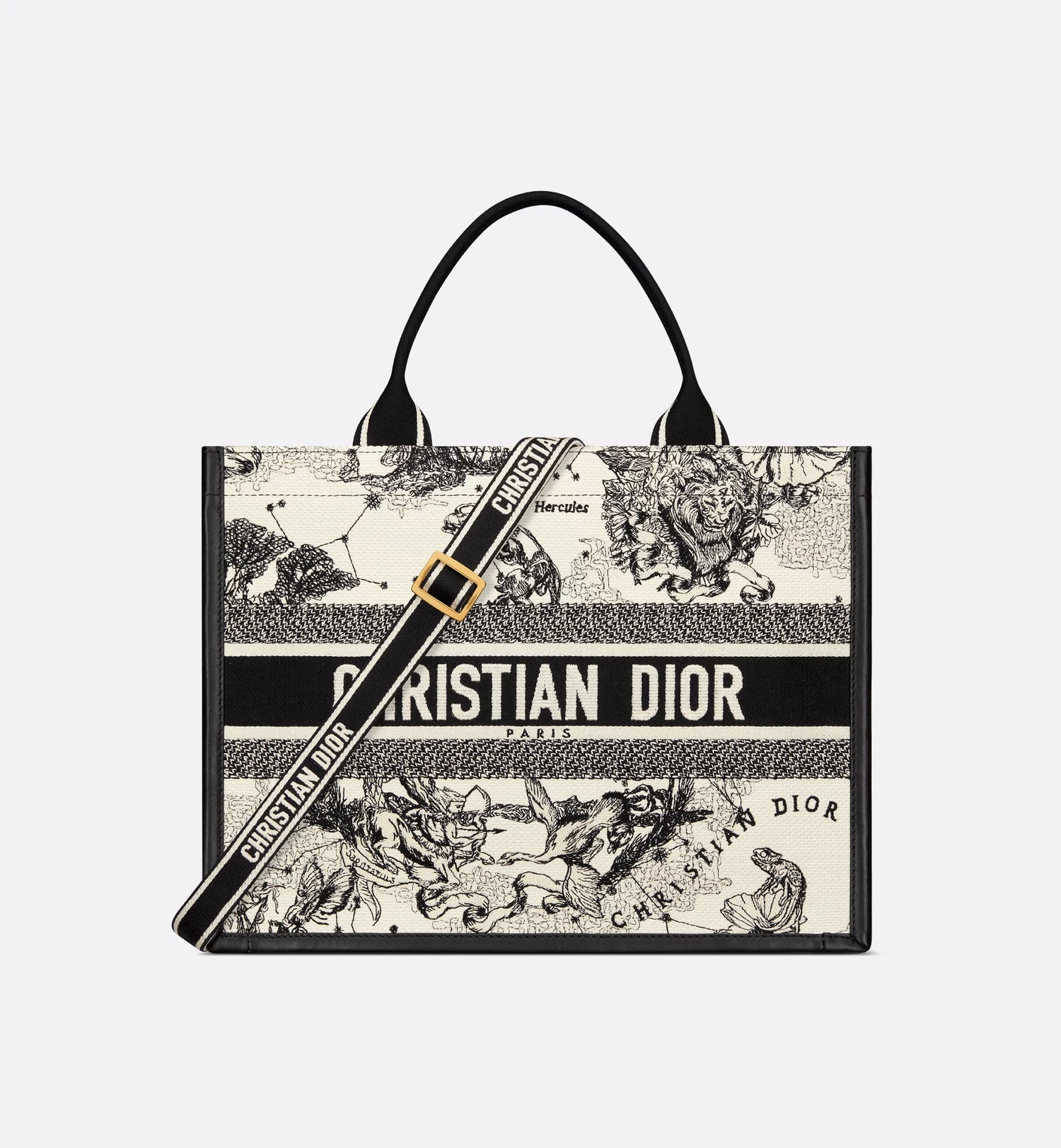 Medium Dior Book Tote Latte and Black Dior Zodiac Embroidery with Black Calfskin