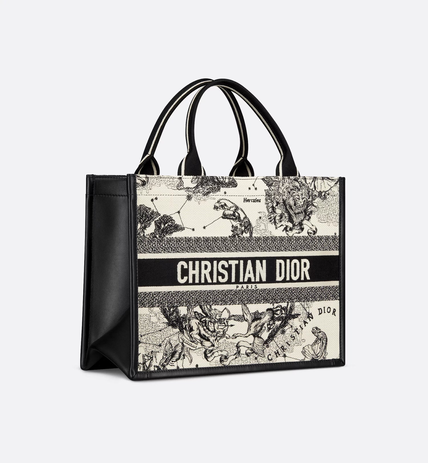 Medium Dior Book Tote Latte and Black Dior Zodiac Embroidery with Black Calfskin