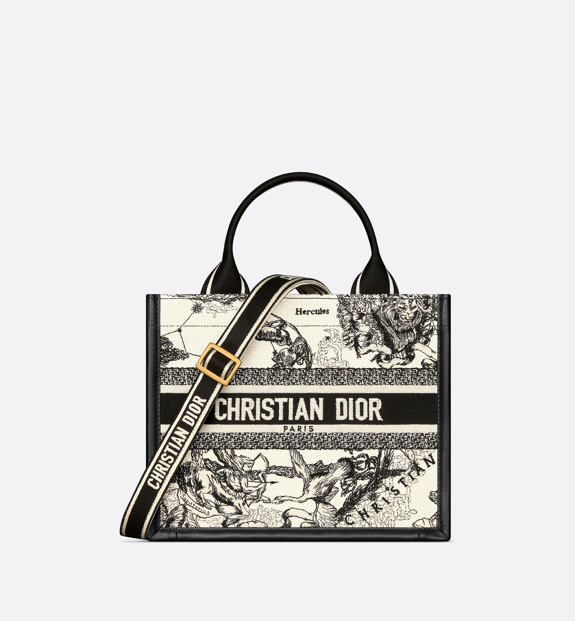 Small Dior Book Tote Latte And Black Dior Zodiac Embroidery With Black Calfskin