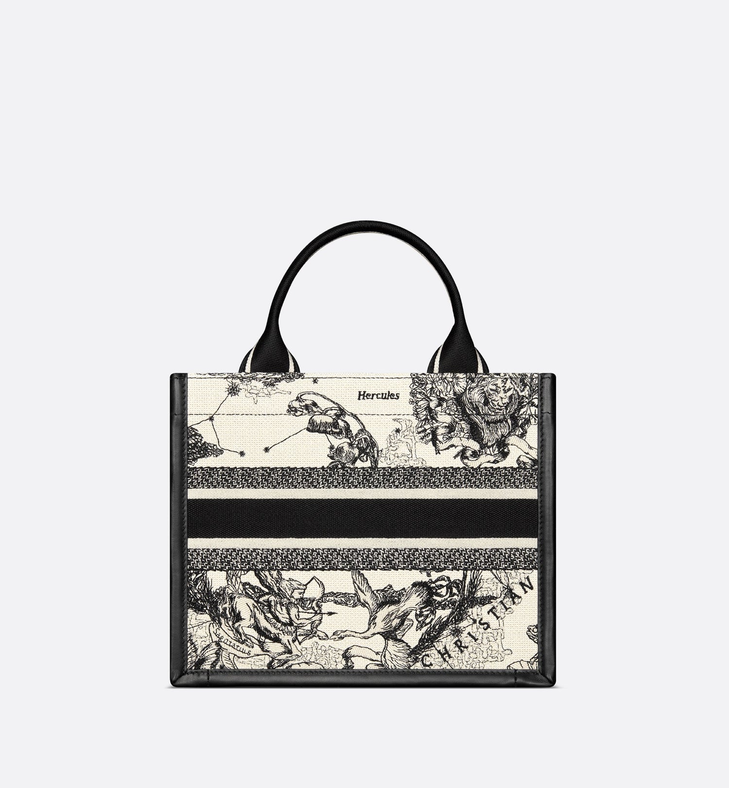 Small Dior Book Tote Latte And Black Dior Zodiac Embroidery With Black Calfskin