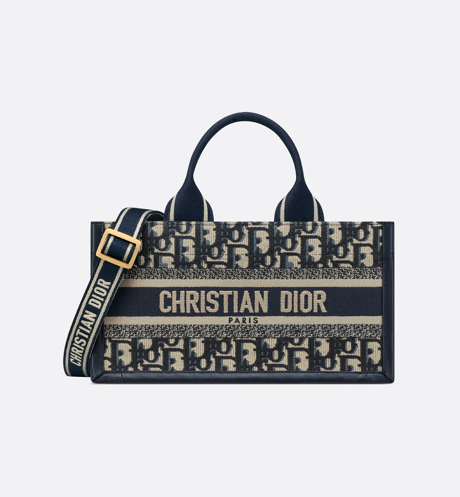 Christian dior book tote singapore sale