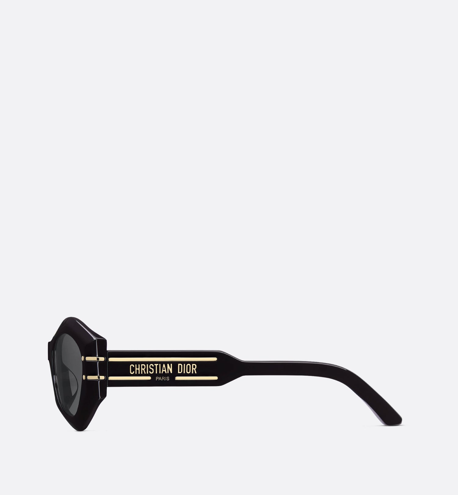 Diorsignature B1U Black Butterfly Sunglasses