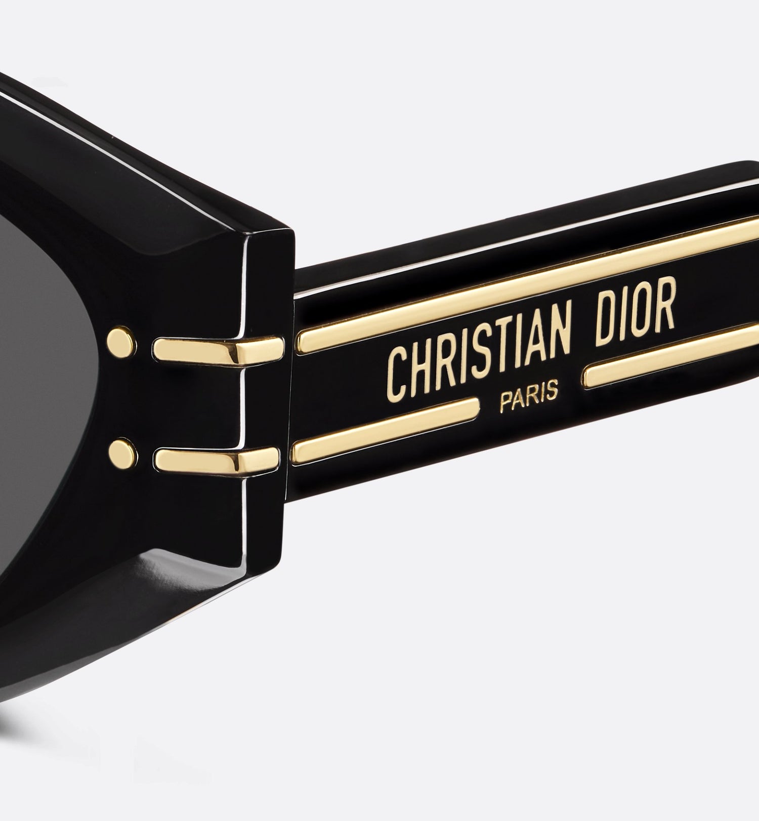 Diorsignature B1U Black Butterfly Sunglasses