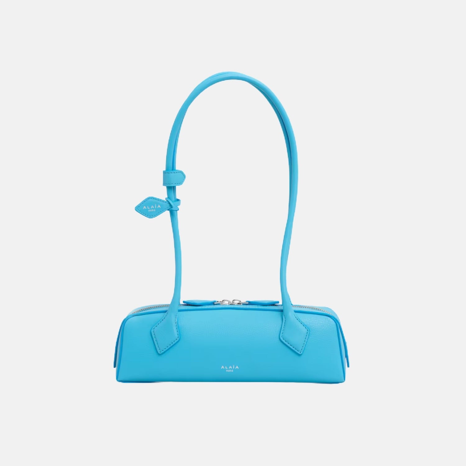 Alaïa Le Teckel Small Bag In Goatskin, Turquoise, Front