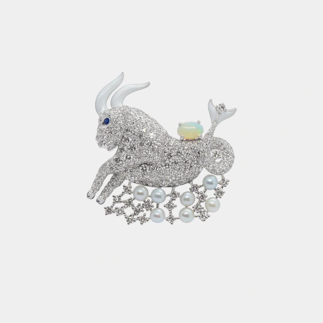 Zodiac Customized Bag Bijoux Capricorn