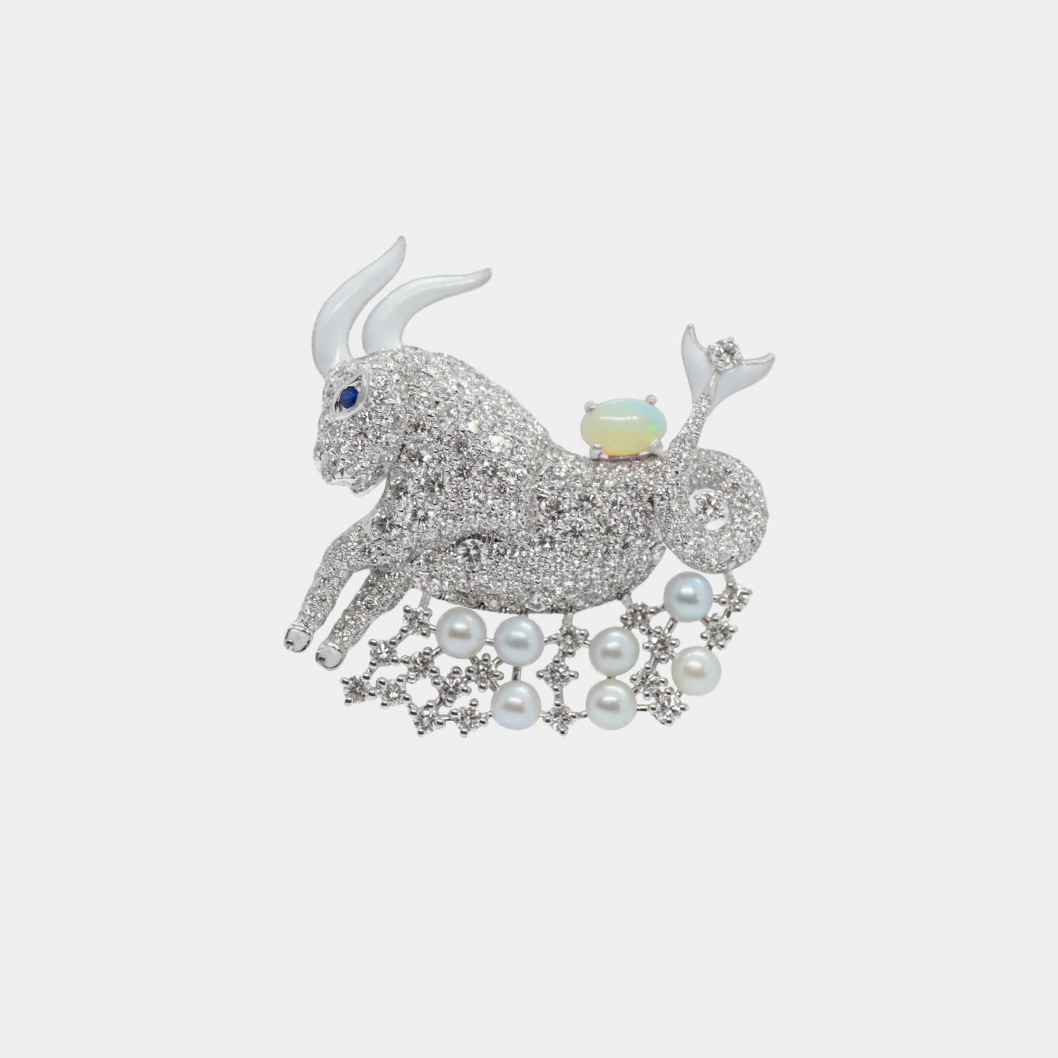 Zodiac Customized Bag Bijoux Capricorn