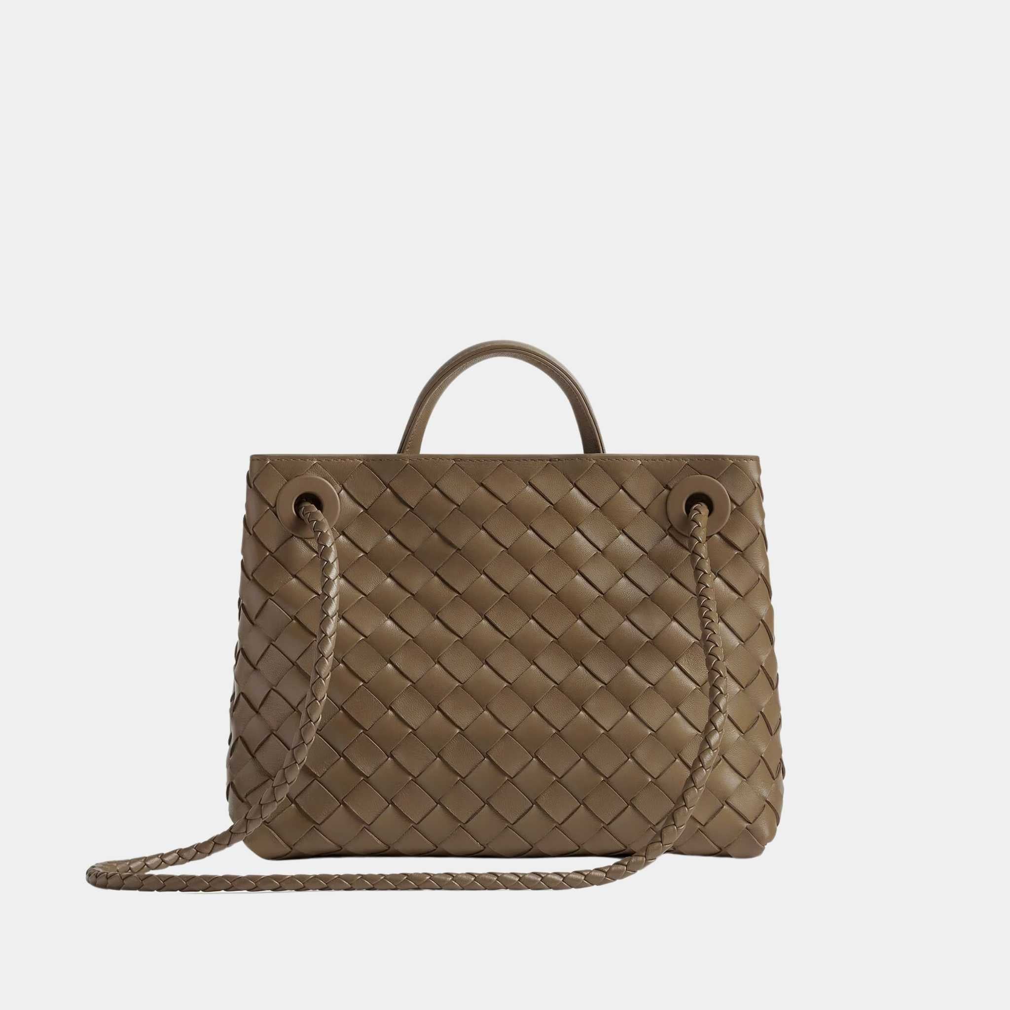 Bottega Veneta Small Andiamo, Pinecone, Back